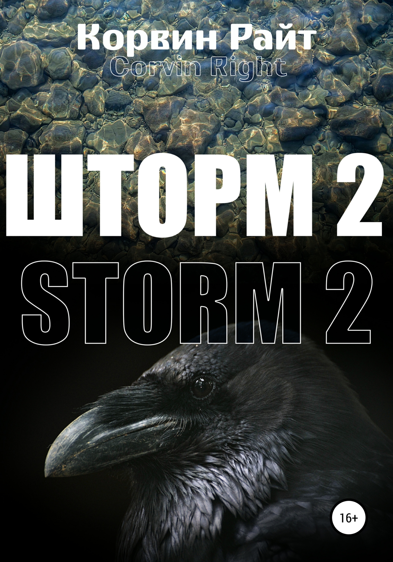 Обложка книги «Шторм-2»