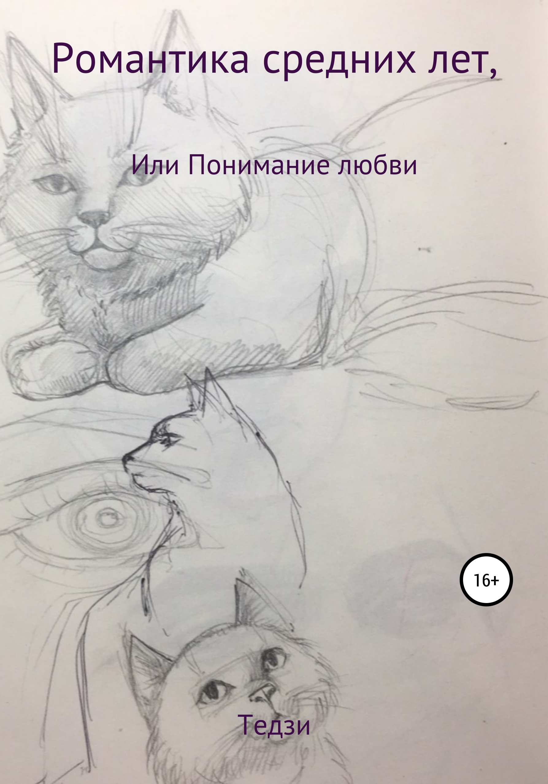 Обложка книги «Романтика средних лет, или Понимание любви»