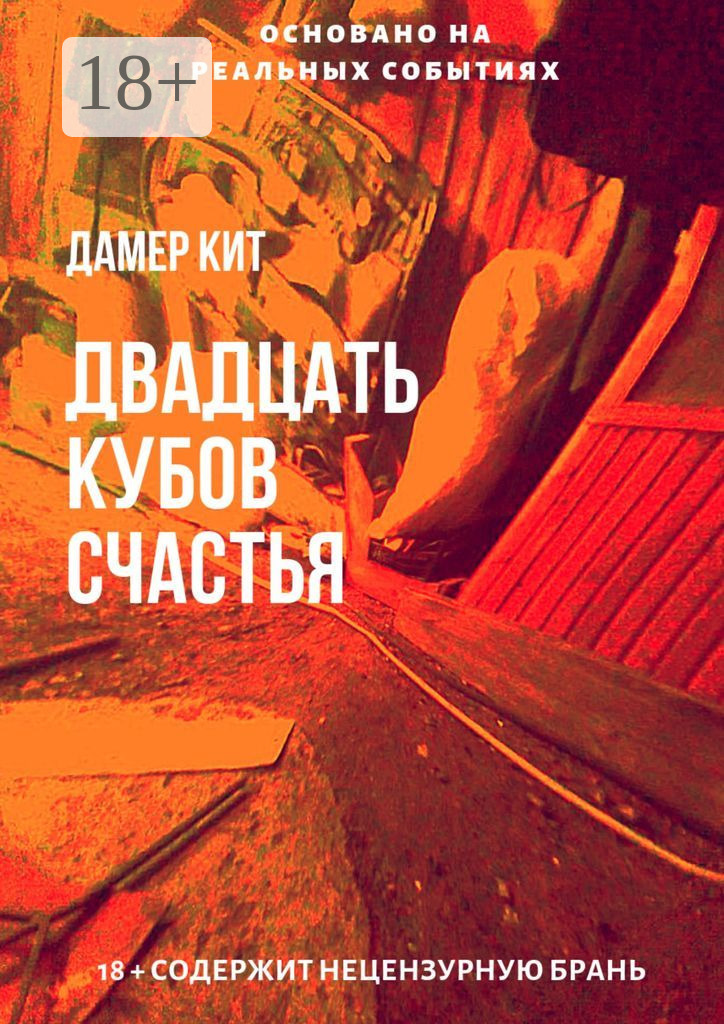 Обложка книги «Двадцать кубов счастья»