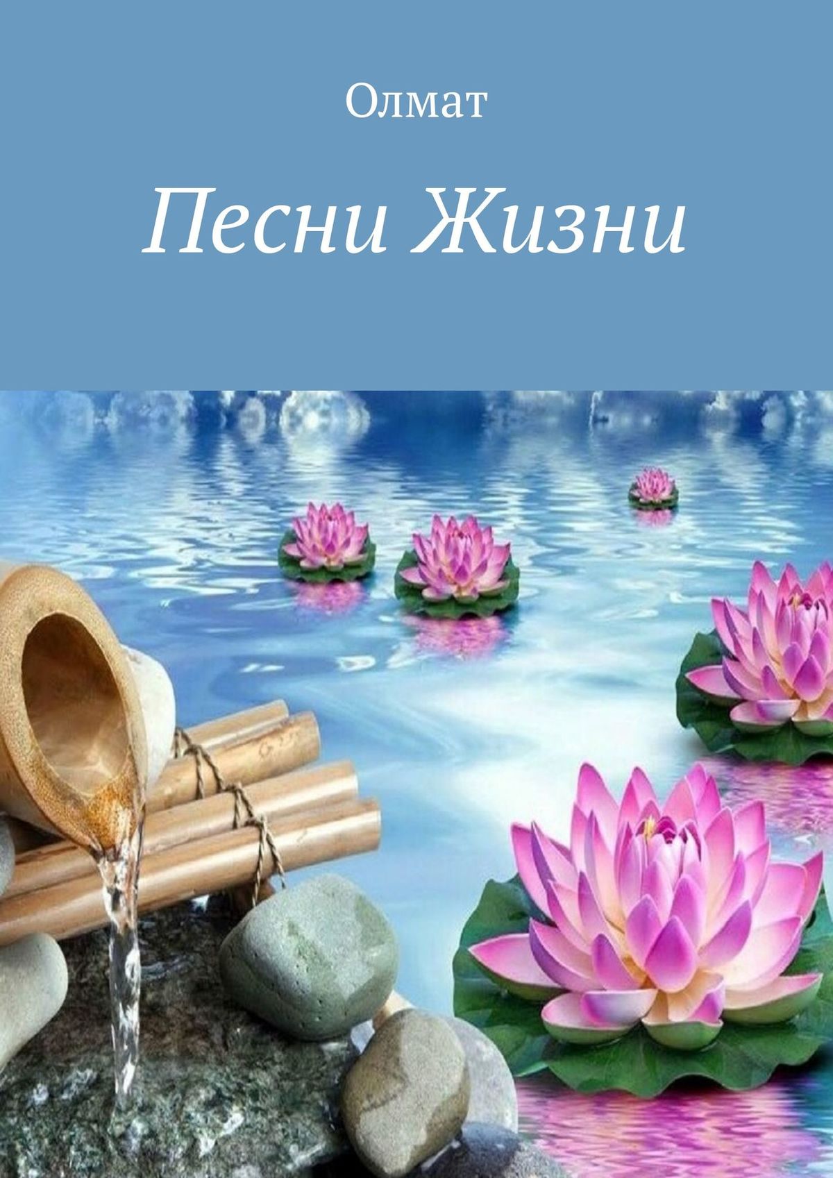 Обложка книги «Песни Жизни»