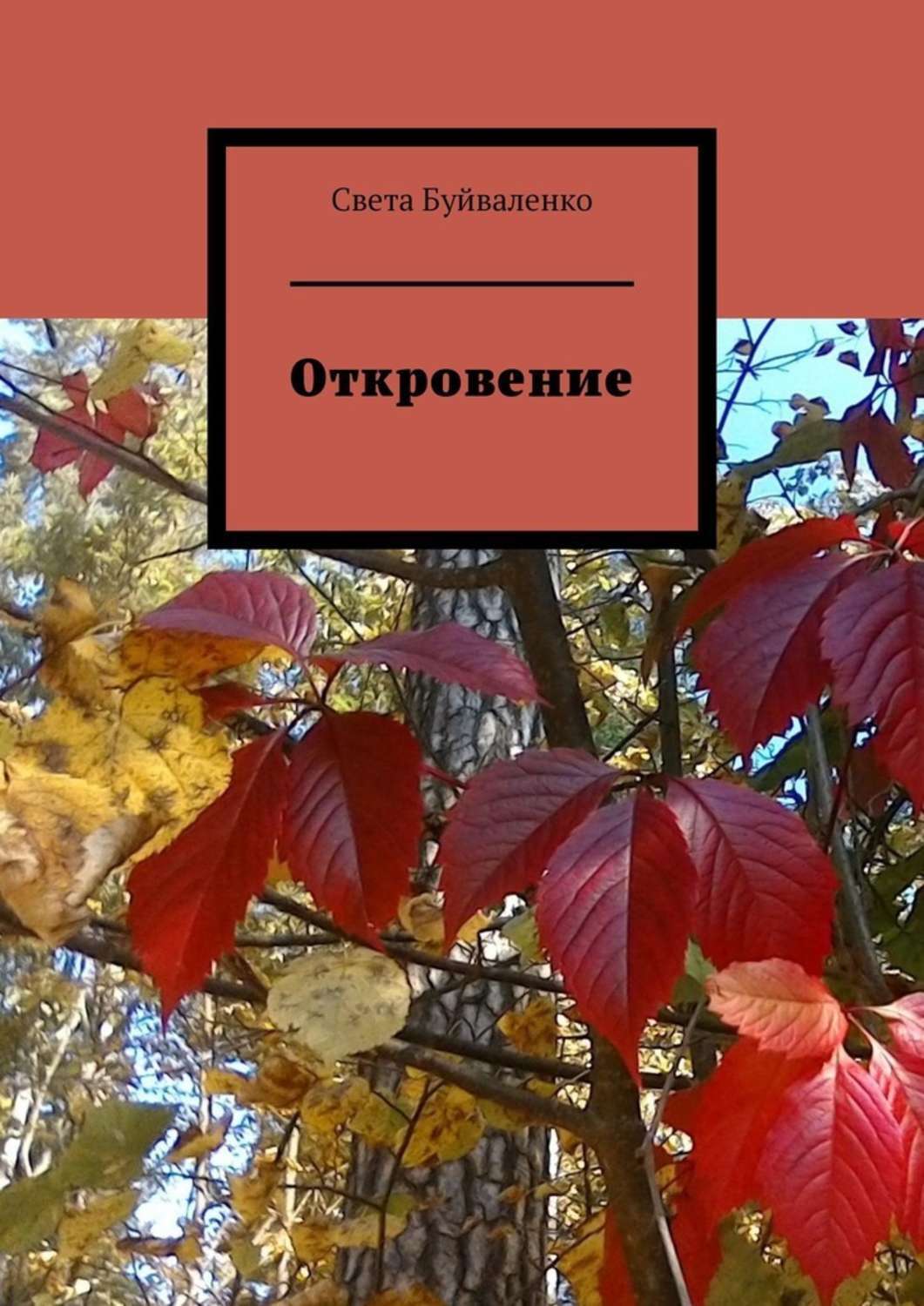 Обложка книги «Откровение»