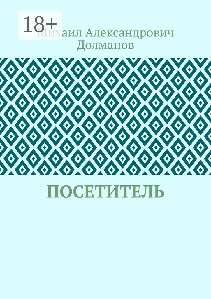 Обложка книги «Посетитель»
