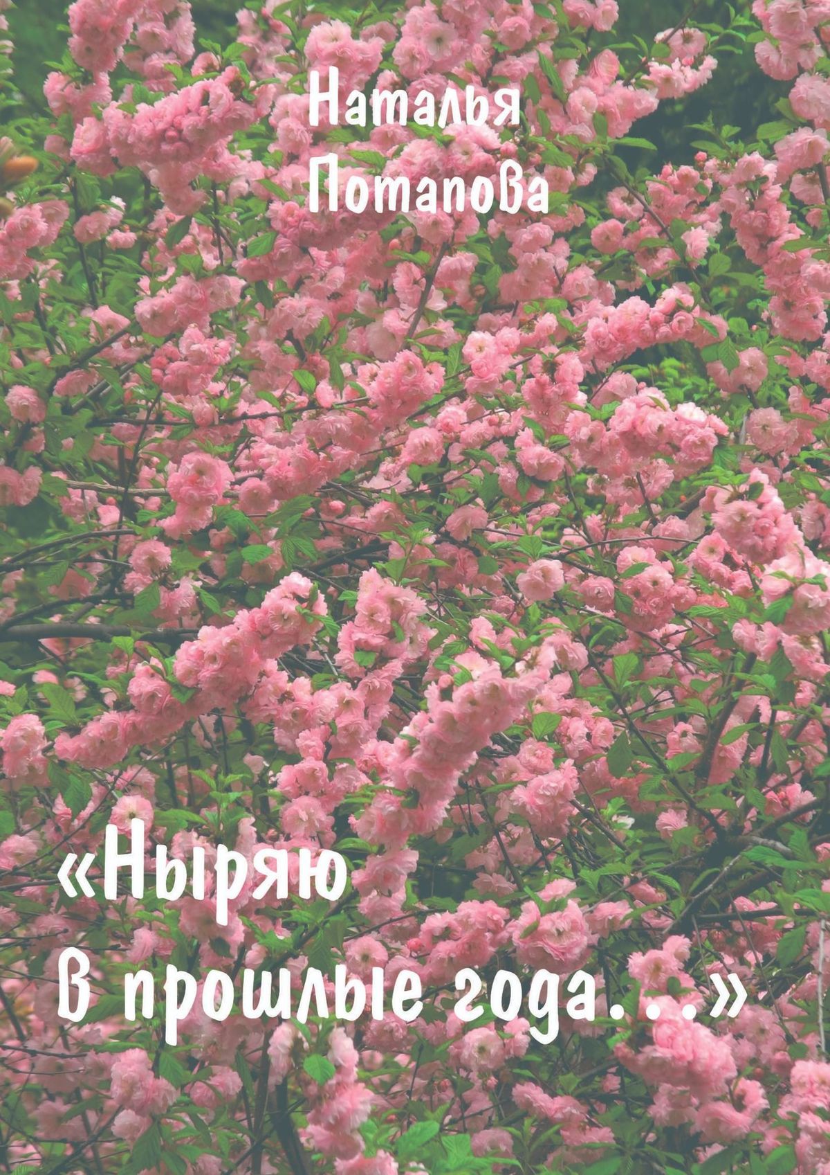 Обложка книги «Ныряю в прошлые года. Сборник очерков»