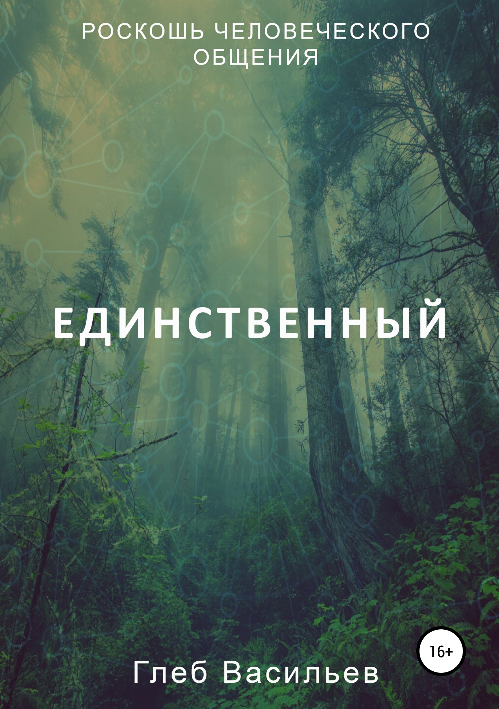 Обложка книги «Единственный»