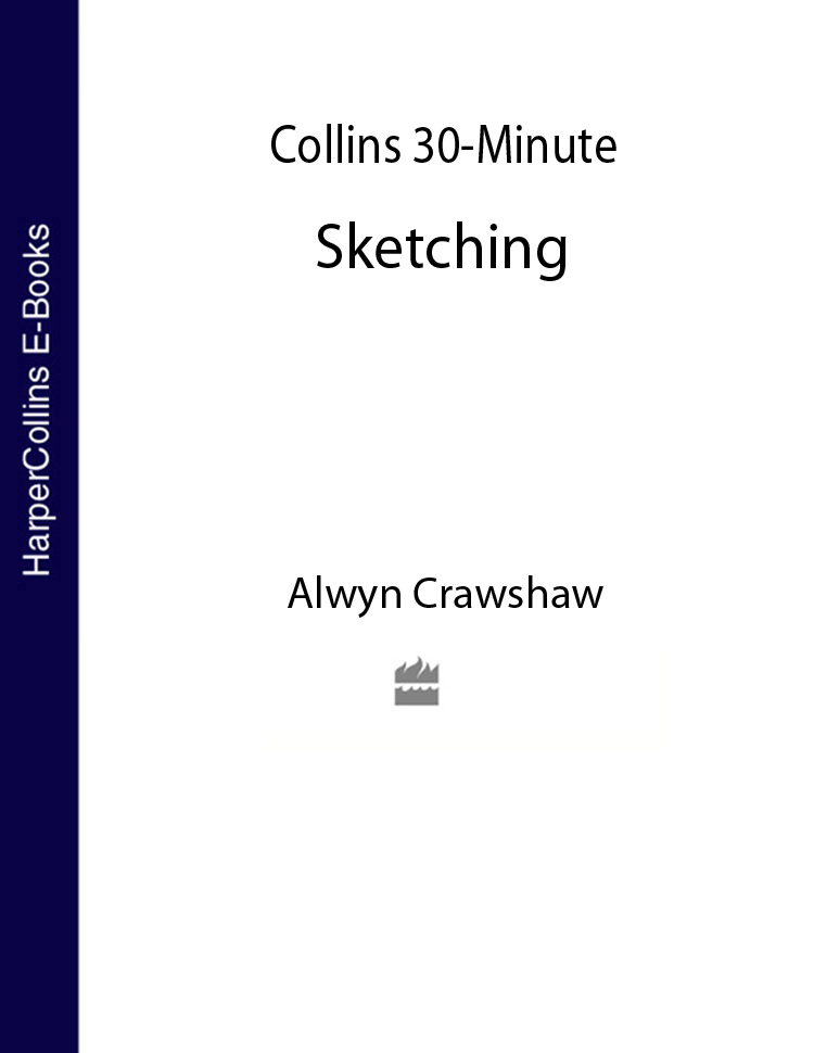 Обложка книги «Collins 30-Minute Painting»