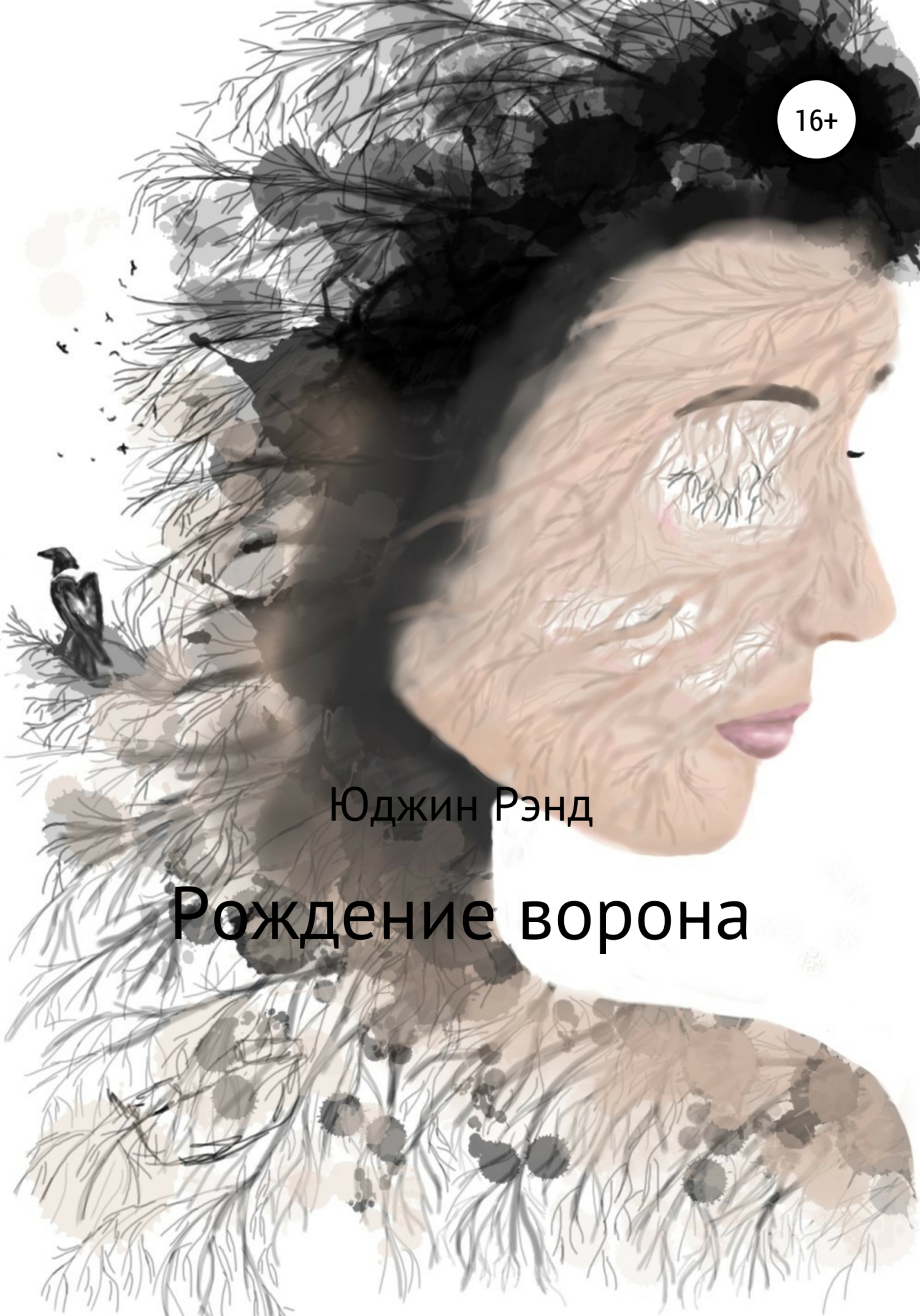 Обложка книги «Рождение ворона»