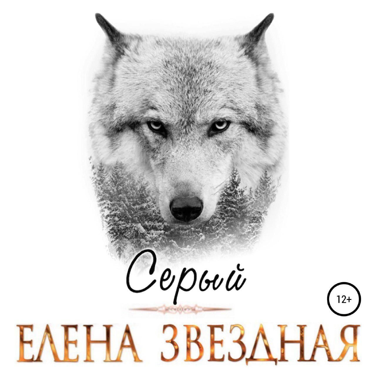 Обложка книги «Серый»