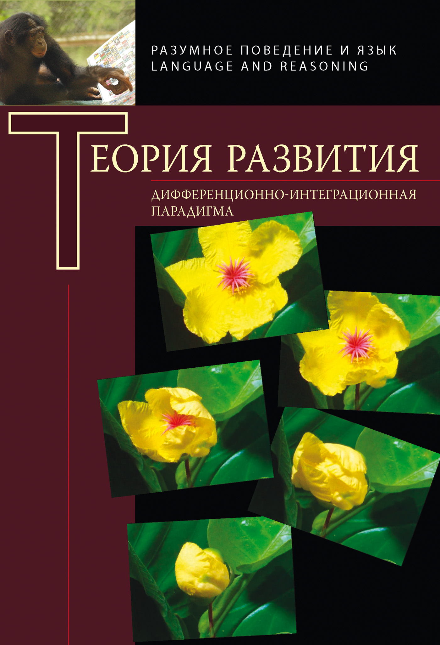 Обложка книги «Теория развития. Дифференциально-интеграционная парадигма»
