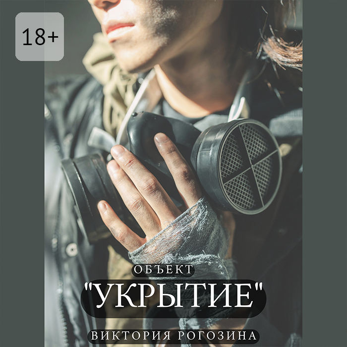 Обложка книги «Объект «Укрытие»»