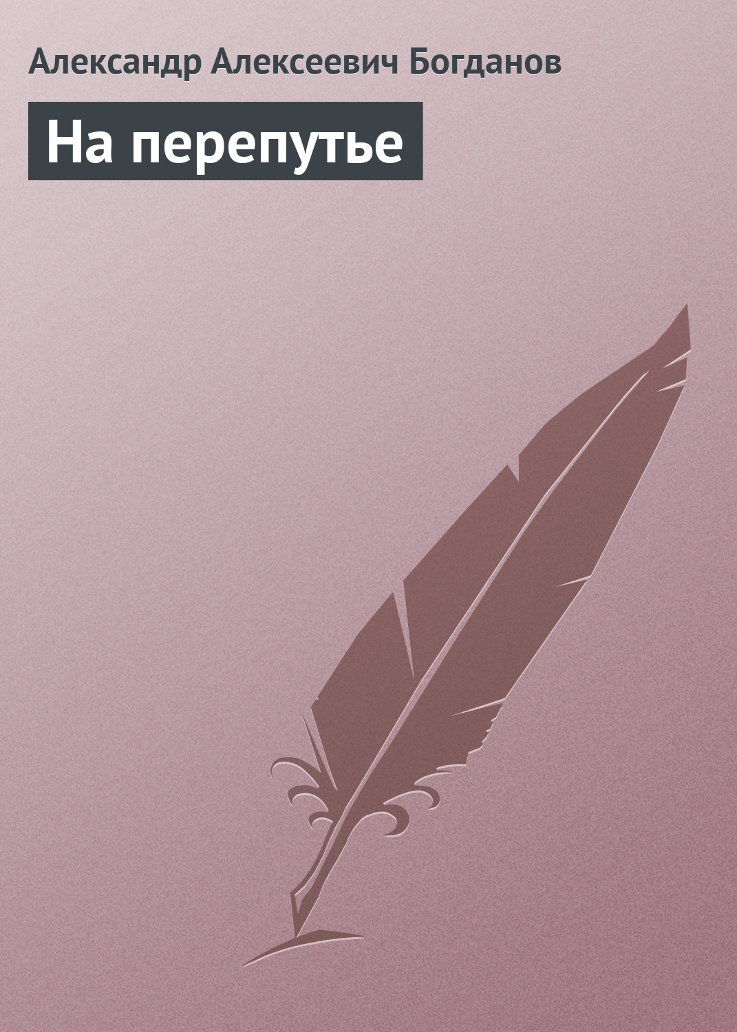Обложка книги «На перепутье»