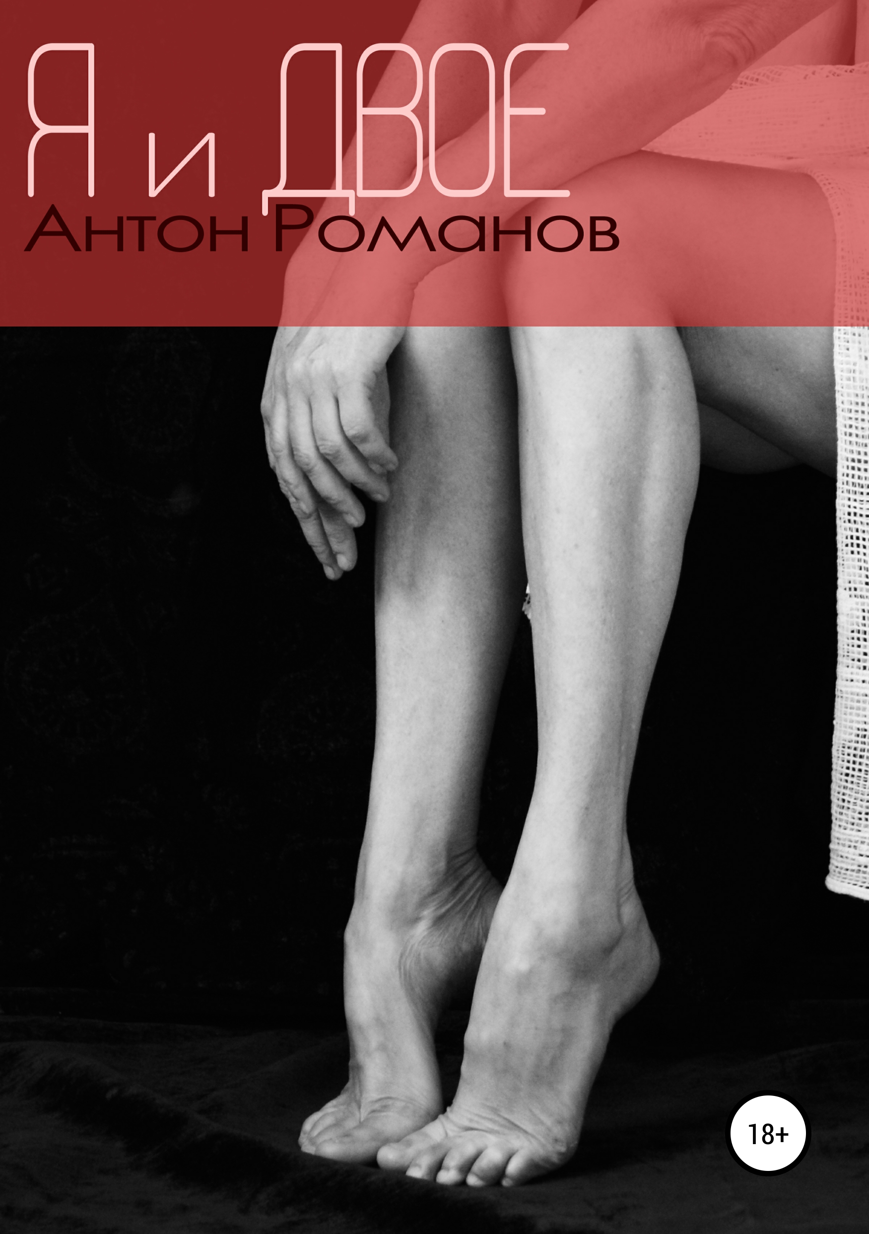 Обложка книги «Я и двое»