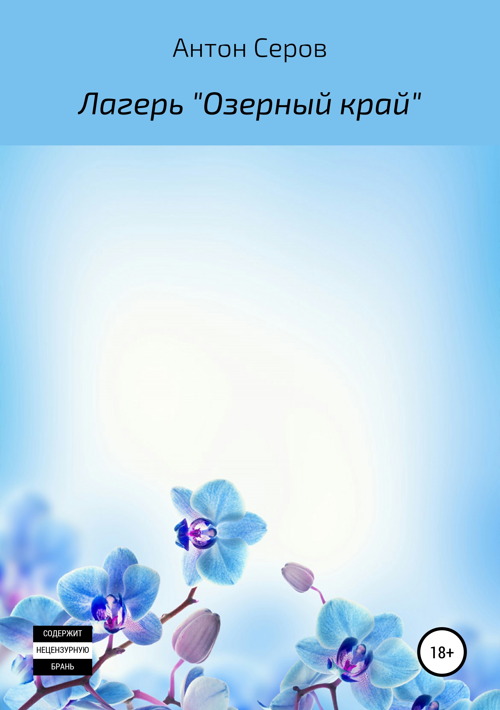 Обложка книги «Лагерь «Озерный край»»