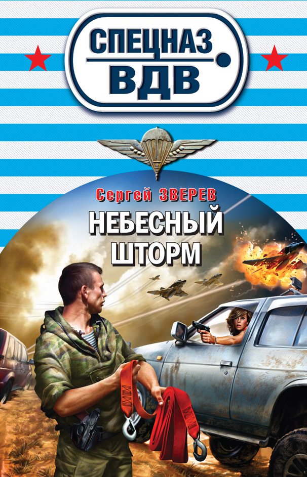 Обложка книги «Небесный шторм»