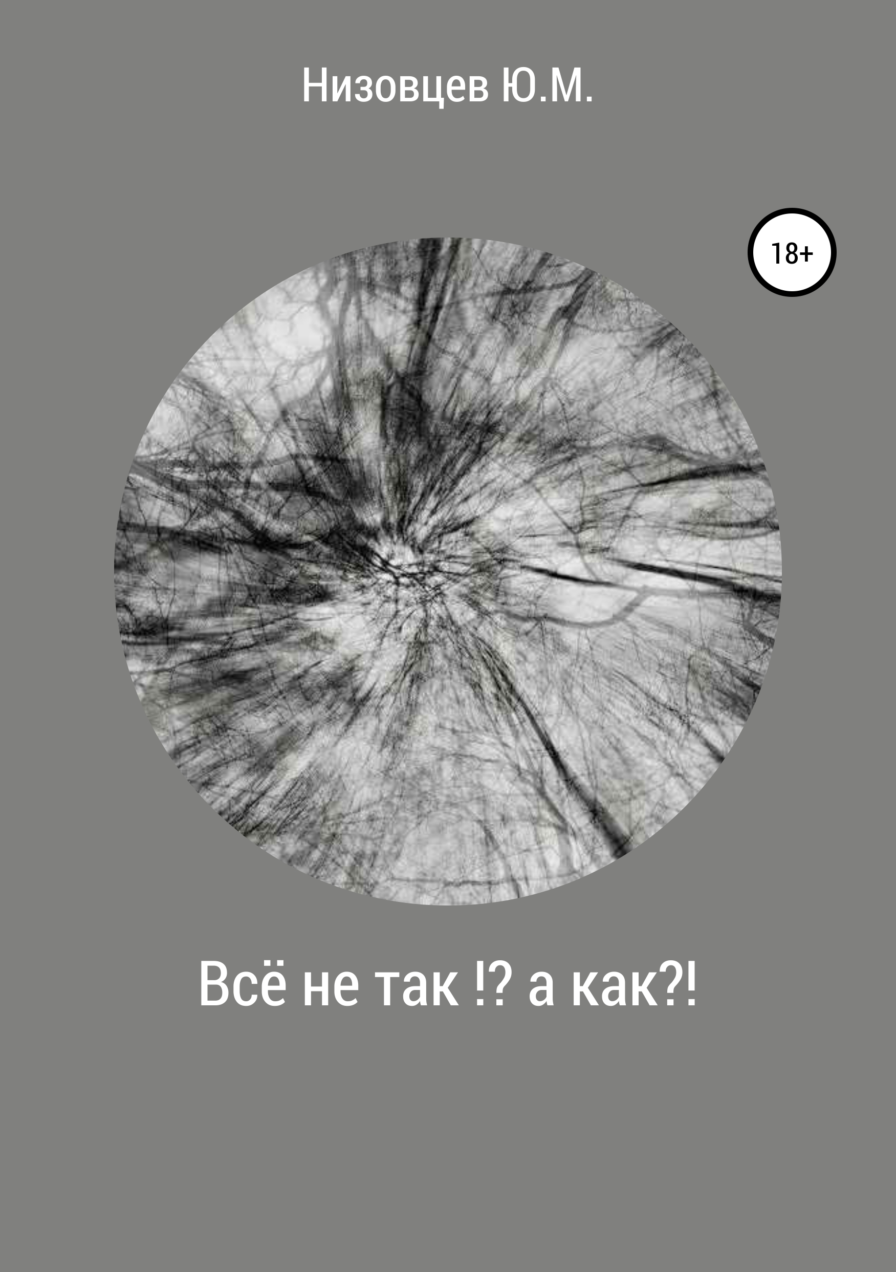 Обложка книги «Всё не так?! А как?!»