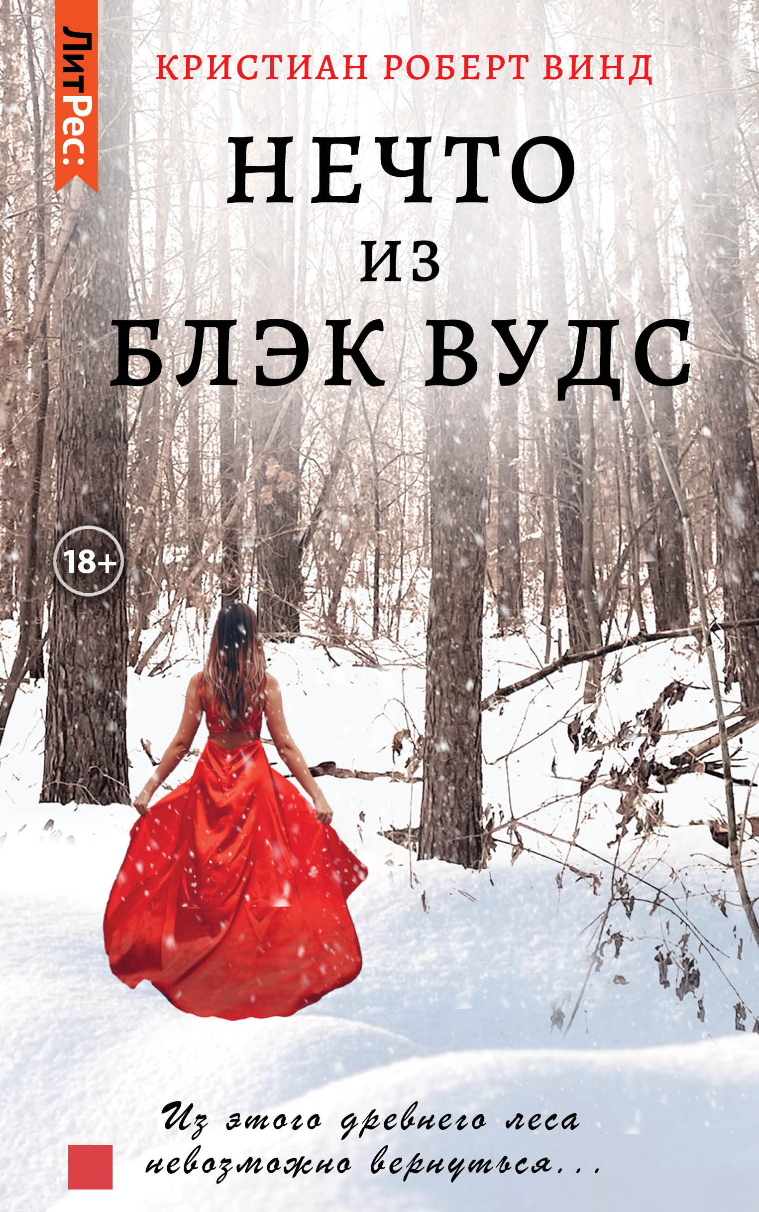 Обложка книги «Нечто из Блэк Вудс»