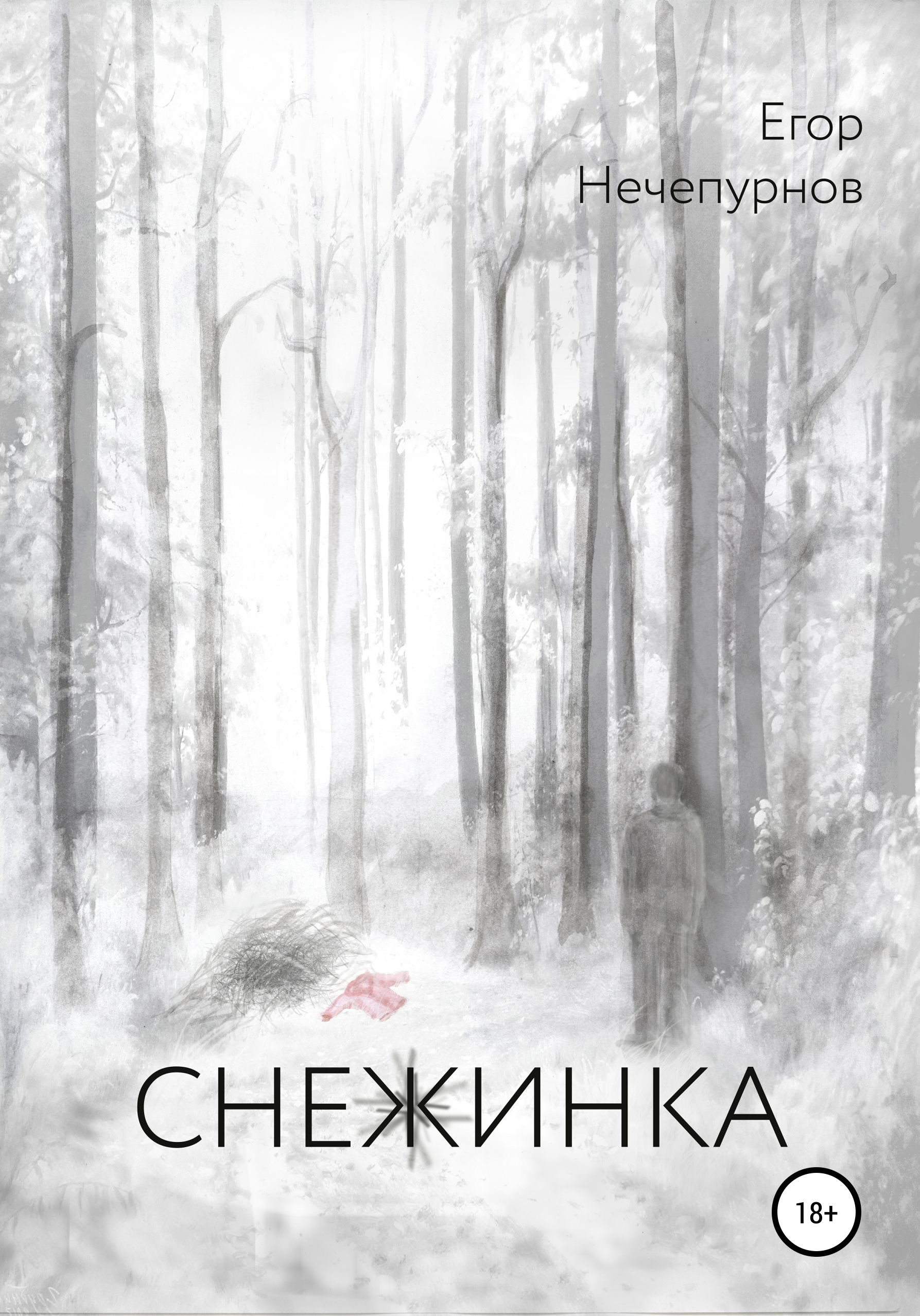 Обложка книги «Снежинка»