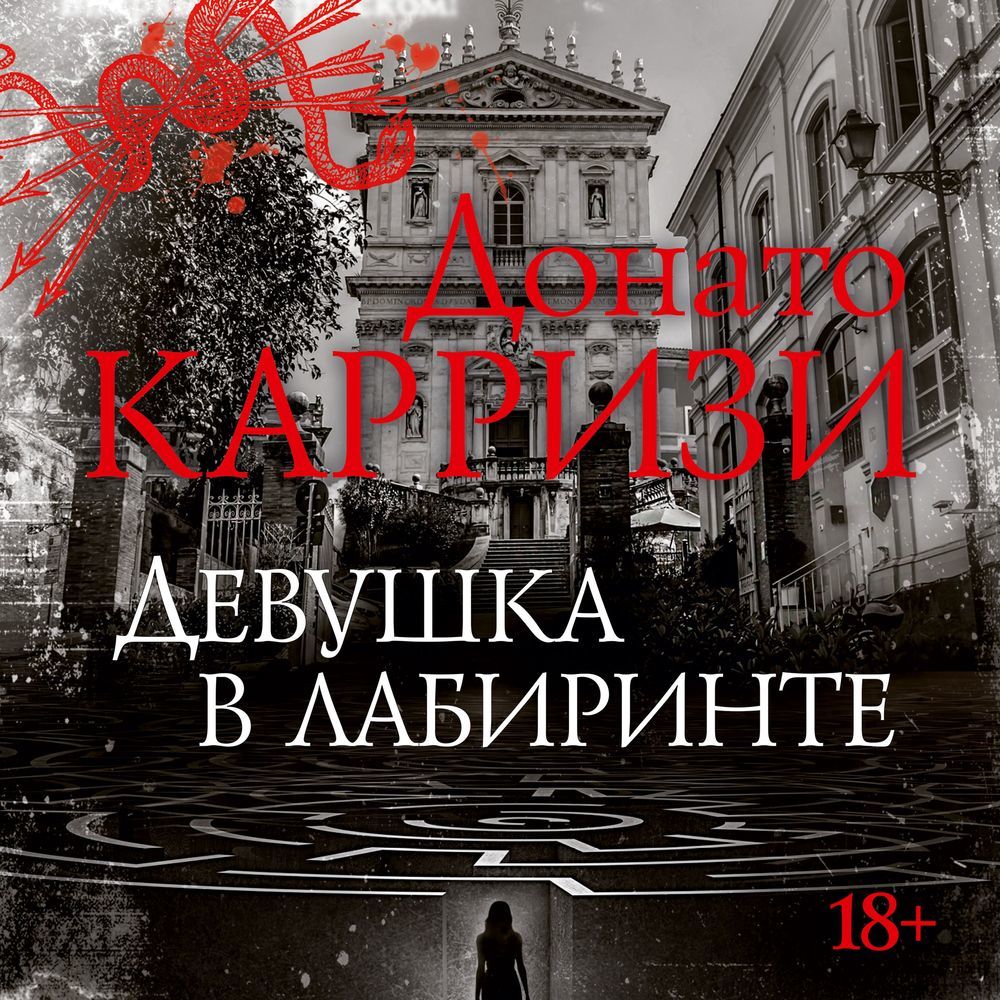 Обложка книги «Девушка в лабиринте»