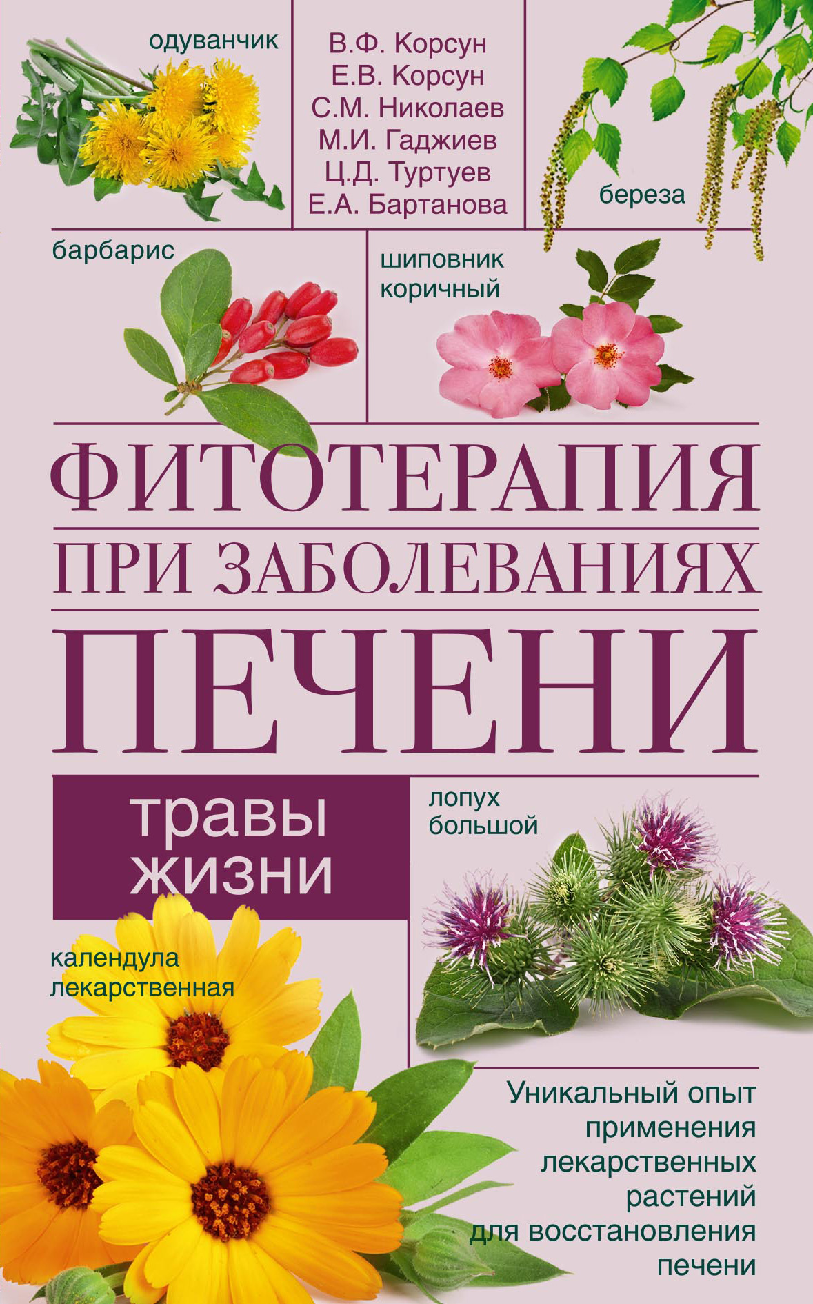 Обложка книги «Фитотерапия при заболеваниях печени. Травы жизни»