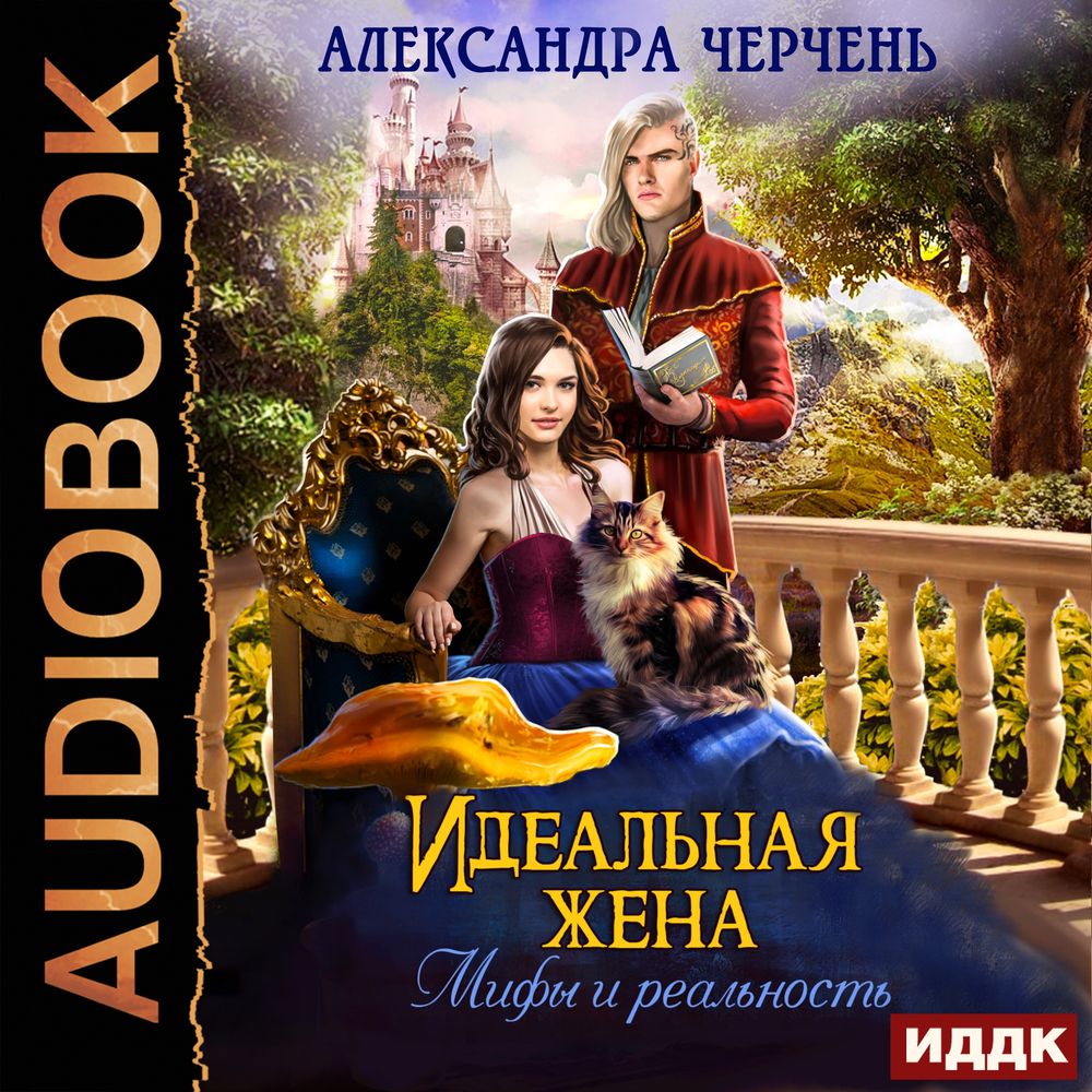 Обложка книги «Идеальная жена. Мифы и реальность»