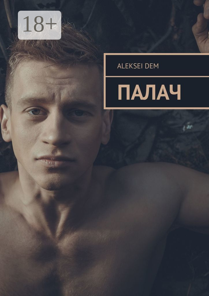 Обложка книги «Палач»