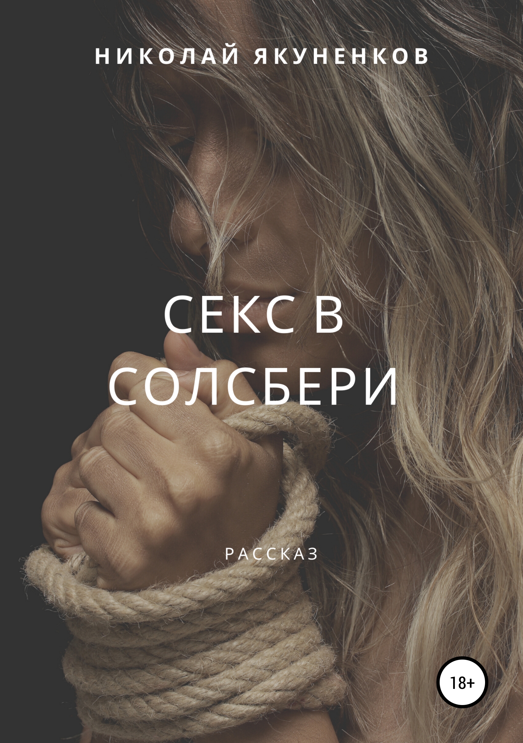 Обложка книги «Секс в Солсбери»