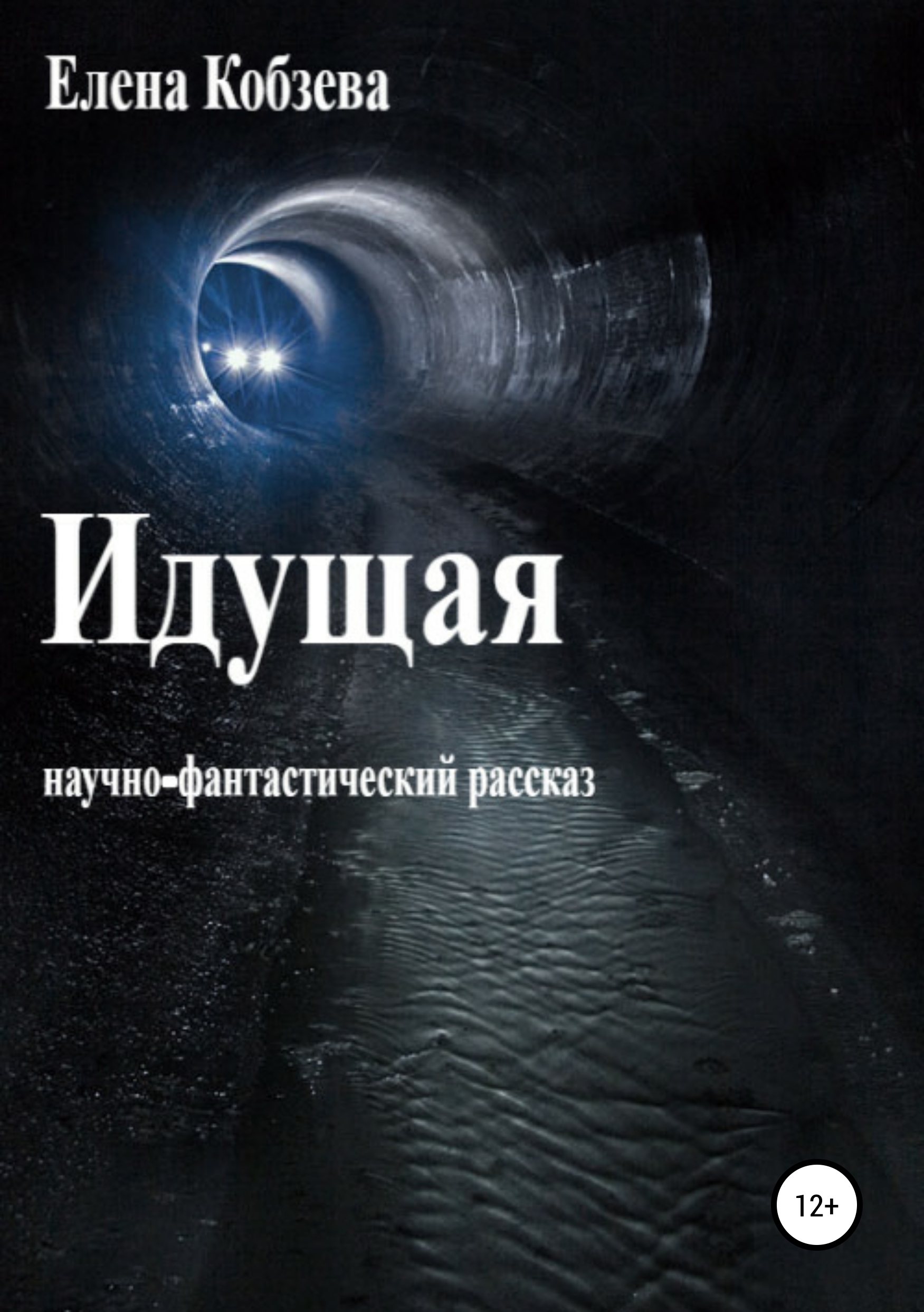 Обложка книги «Идущая»