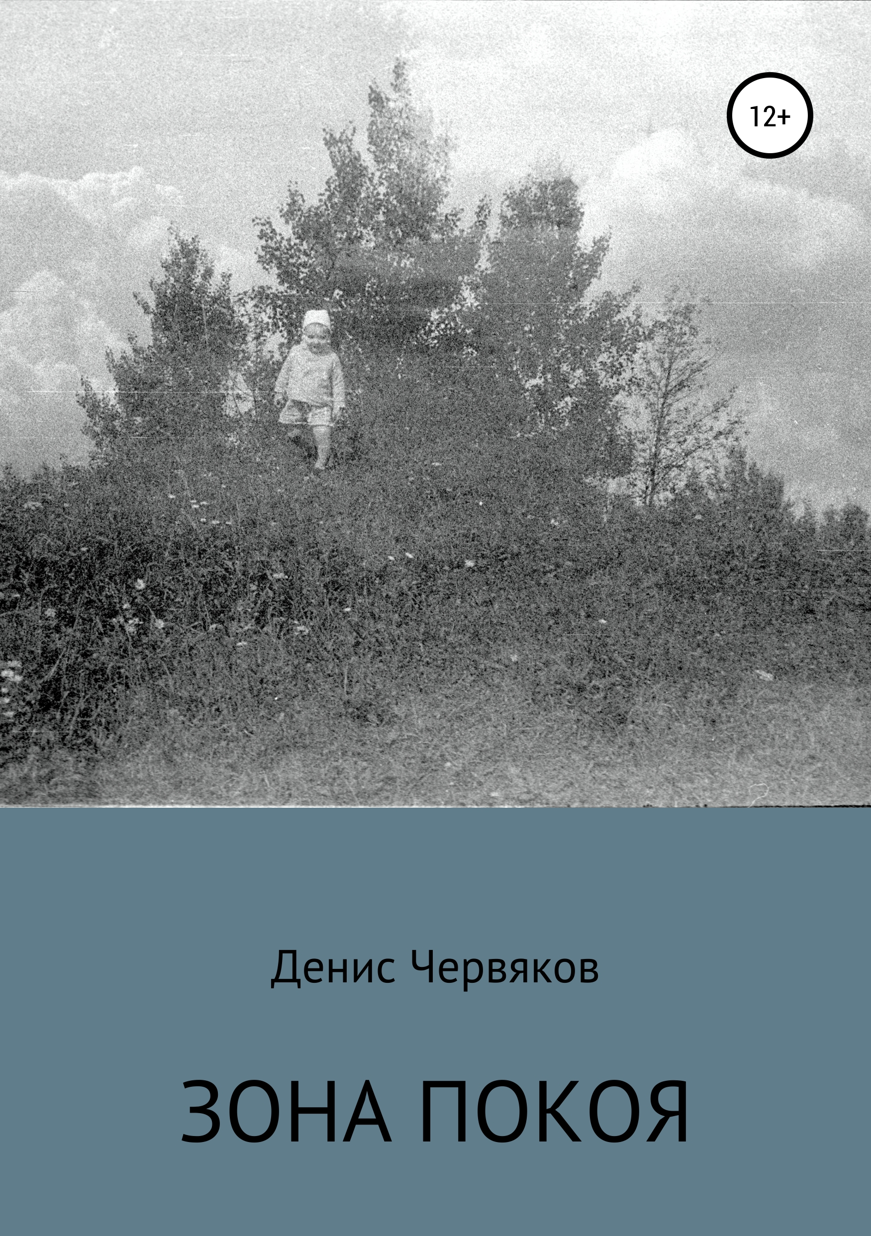 Обложка книги «Зона покоя»