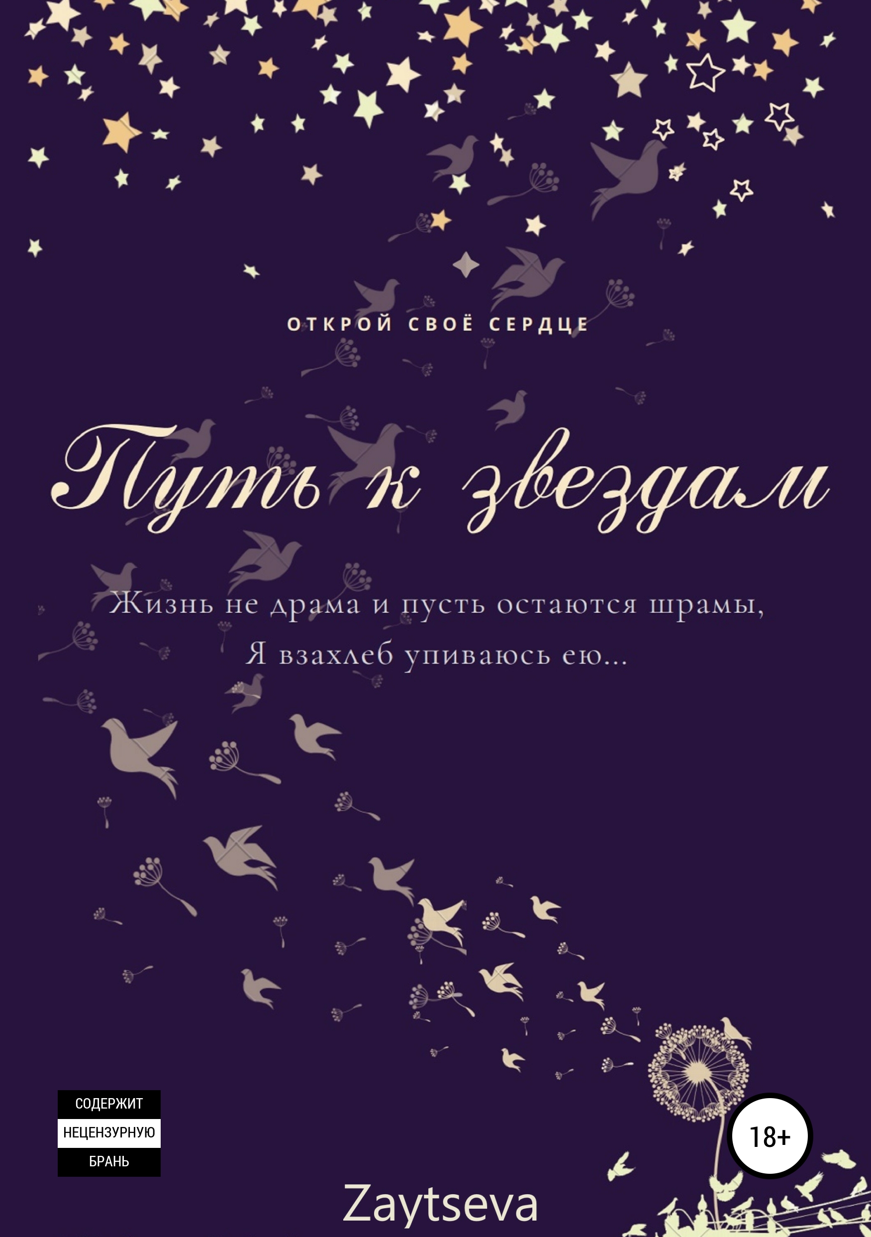 Обложка книги «Путь к звёздам»