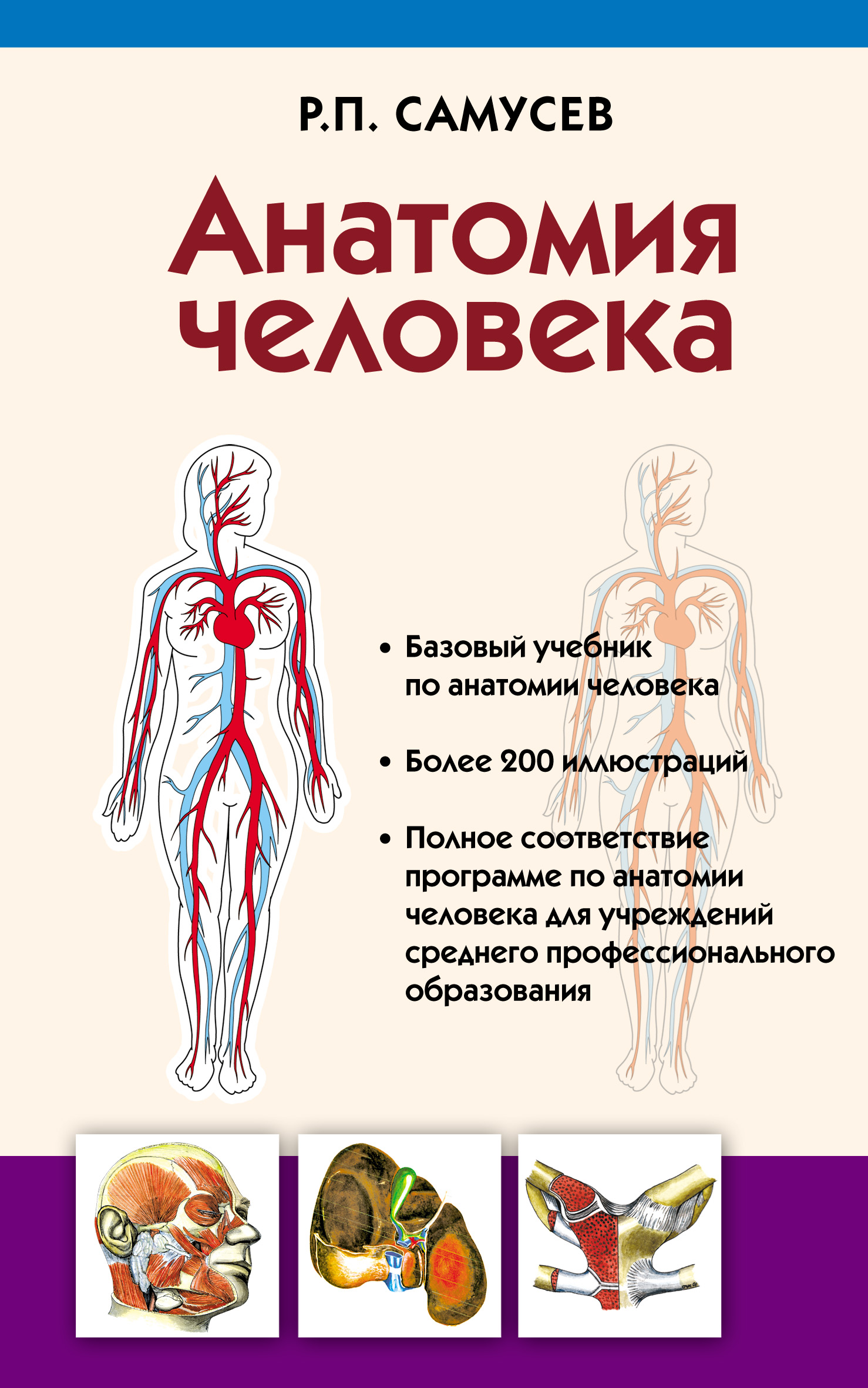 Обложка книги «Анатомия человека»