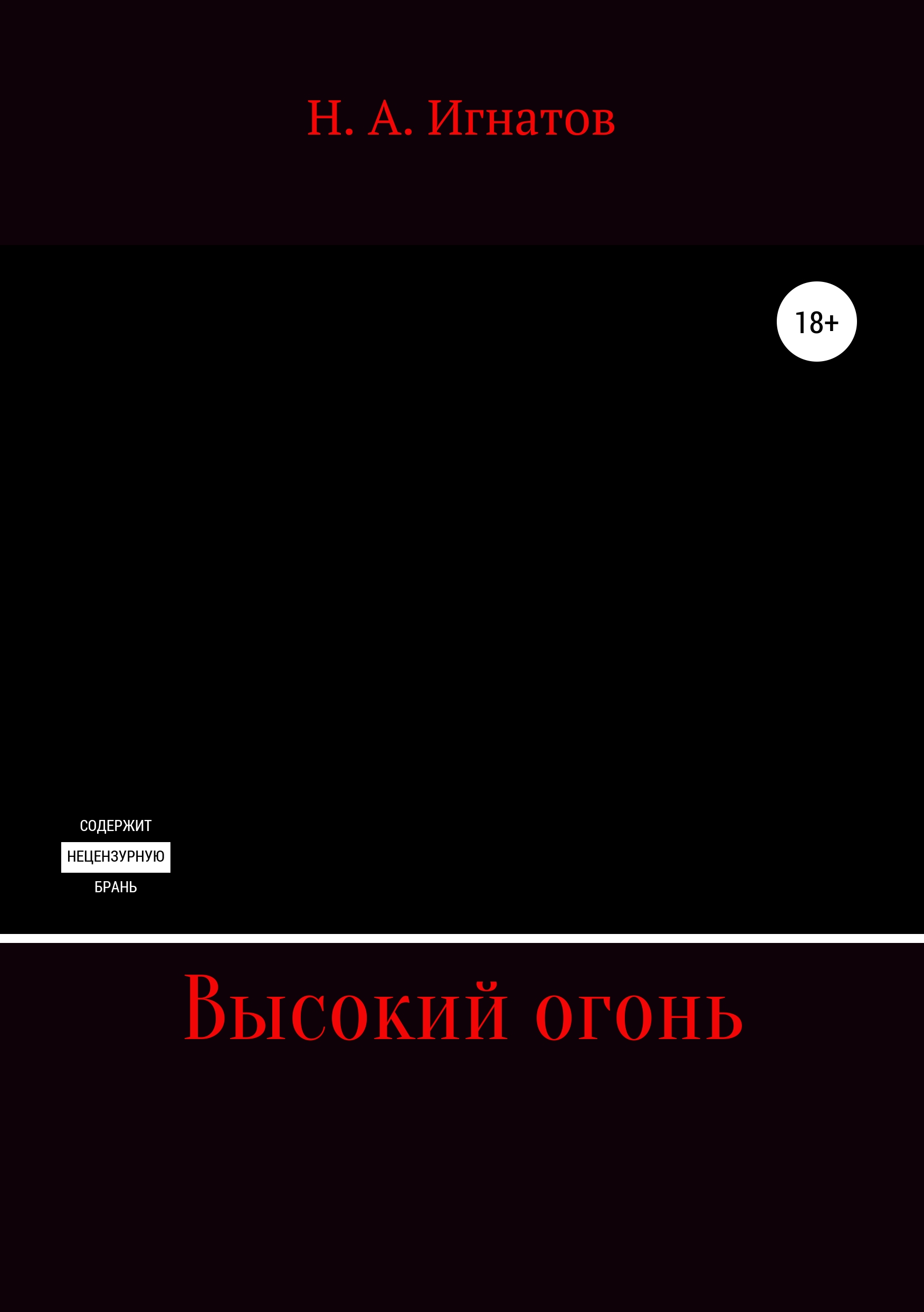 Обложка книги «Высокий огонь»
