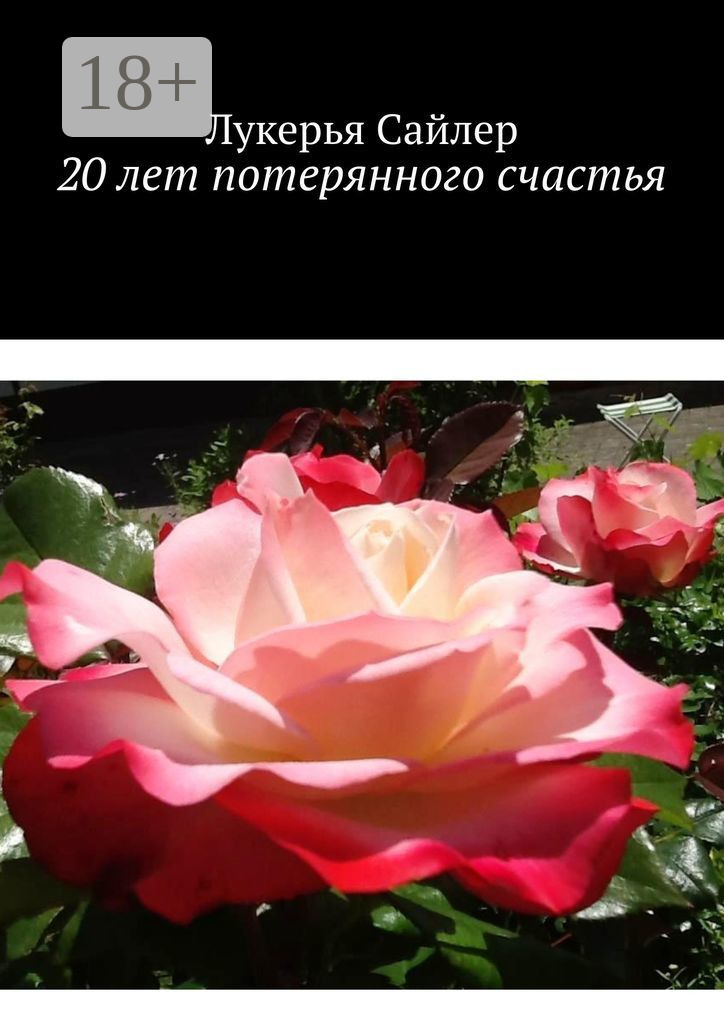 Обложка книги «20 лет потерянного счастья»