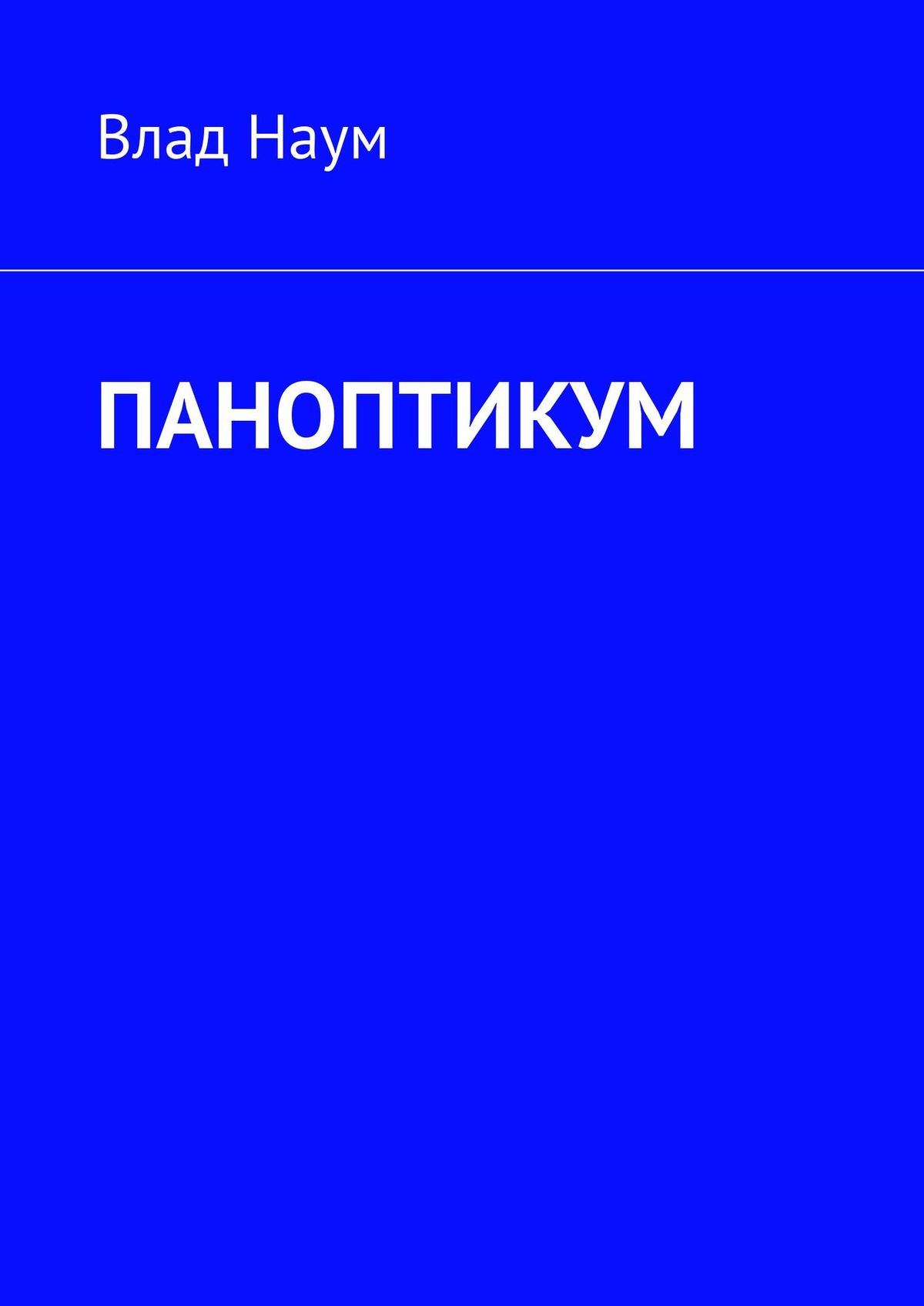 Обложка книги «ПАНОПТИКУМ»