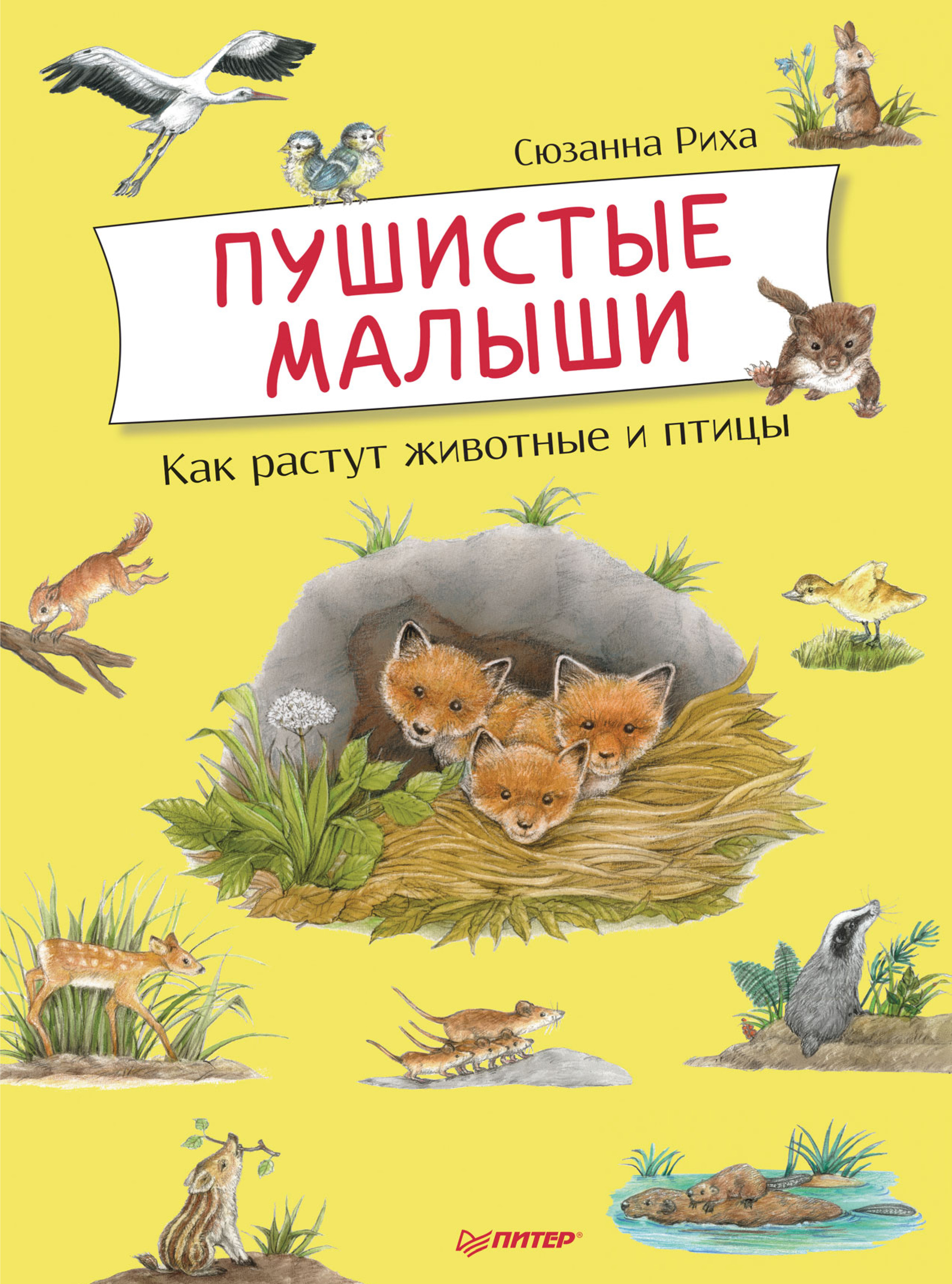 Обложка книги «Пушистые малыши. Как растут животные и птицы»