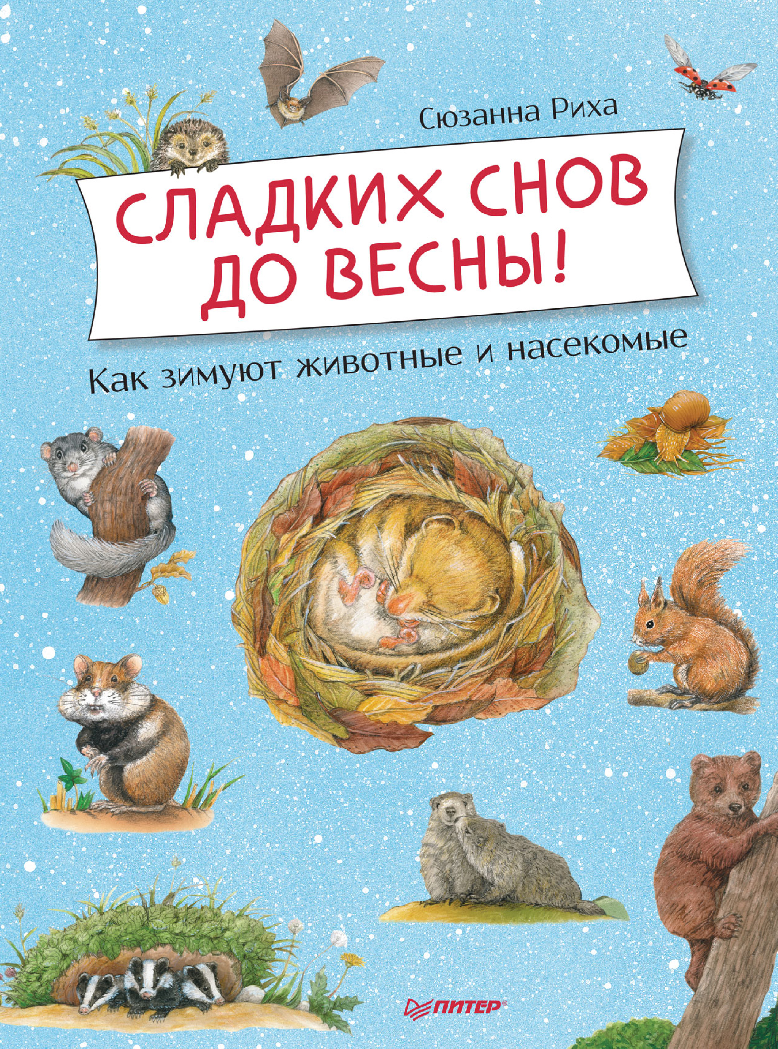 Обложка книги «Сладких снов до весны! Как зимуют животные и насекомые»