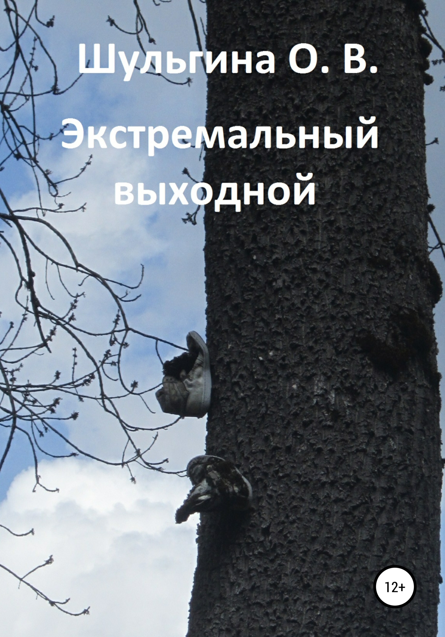 Обложка книги «Экстремальный выходной»