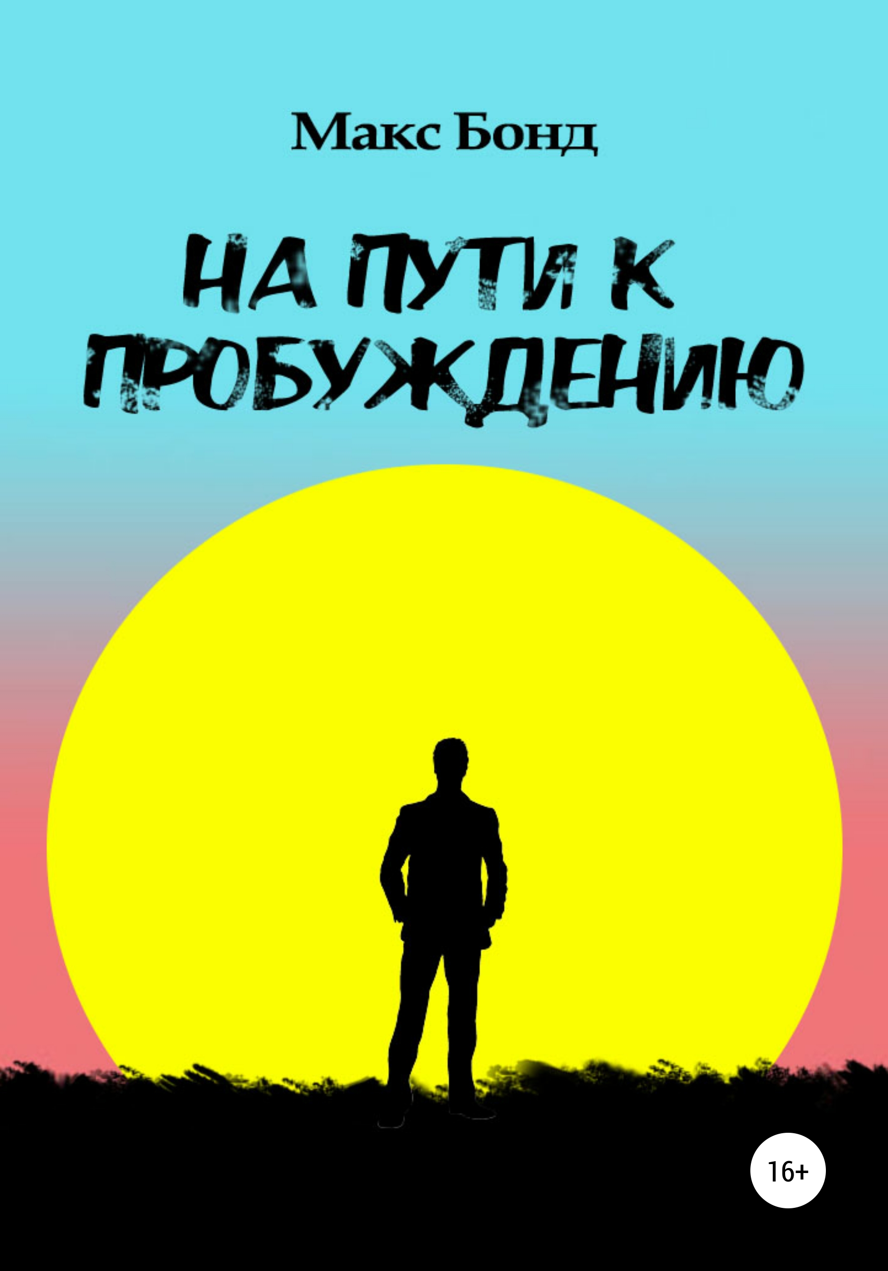 Обложка книги «На пути к пробуждению»