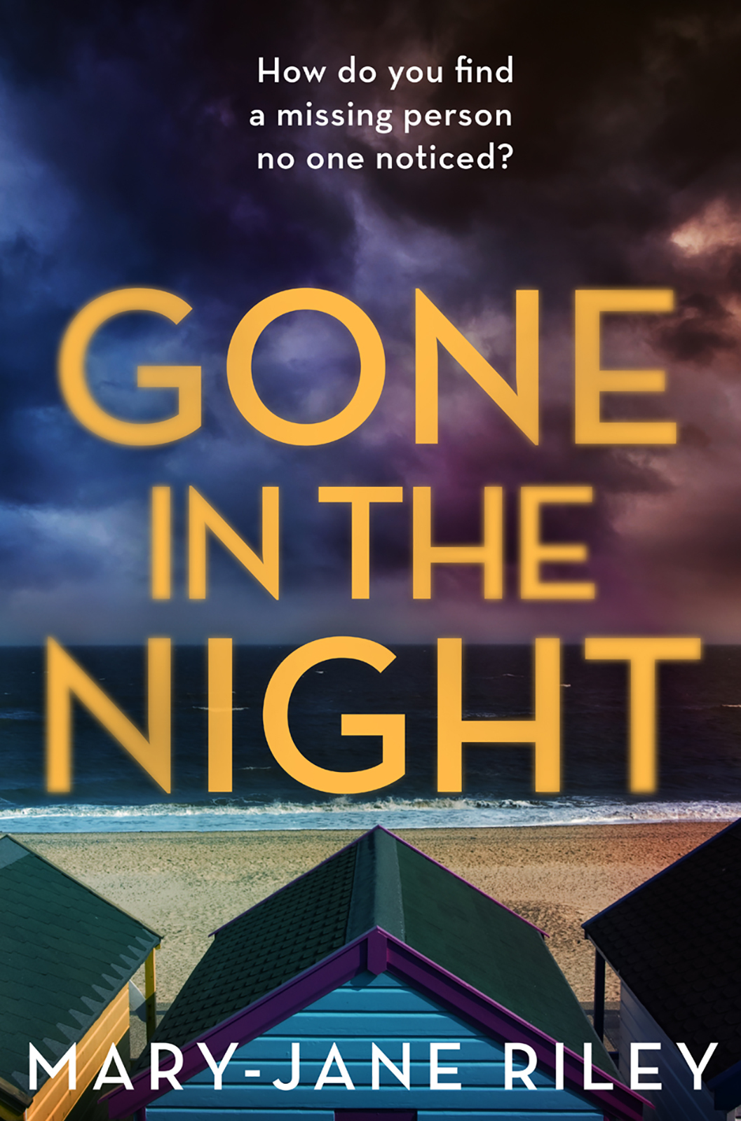 Обложка книги «Gone in the Night»