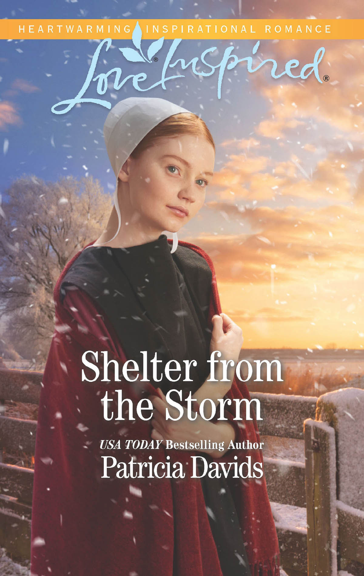Обложка книги «Shelter From The Storm»