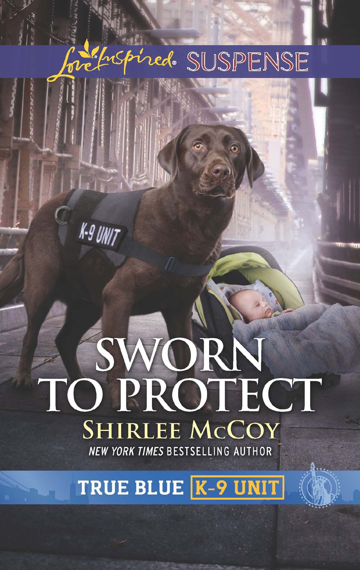 Обложка книги «Sworn To Protect»