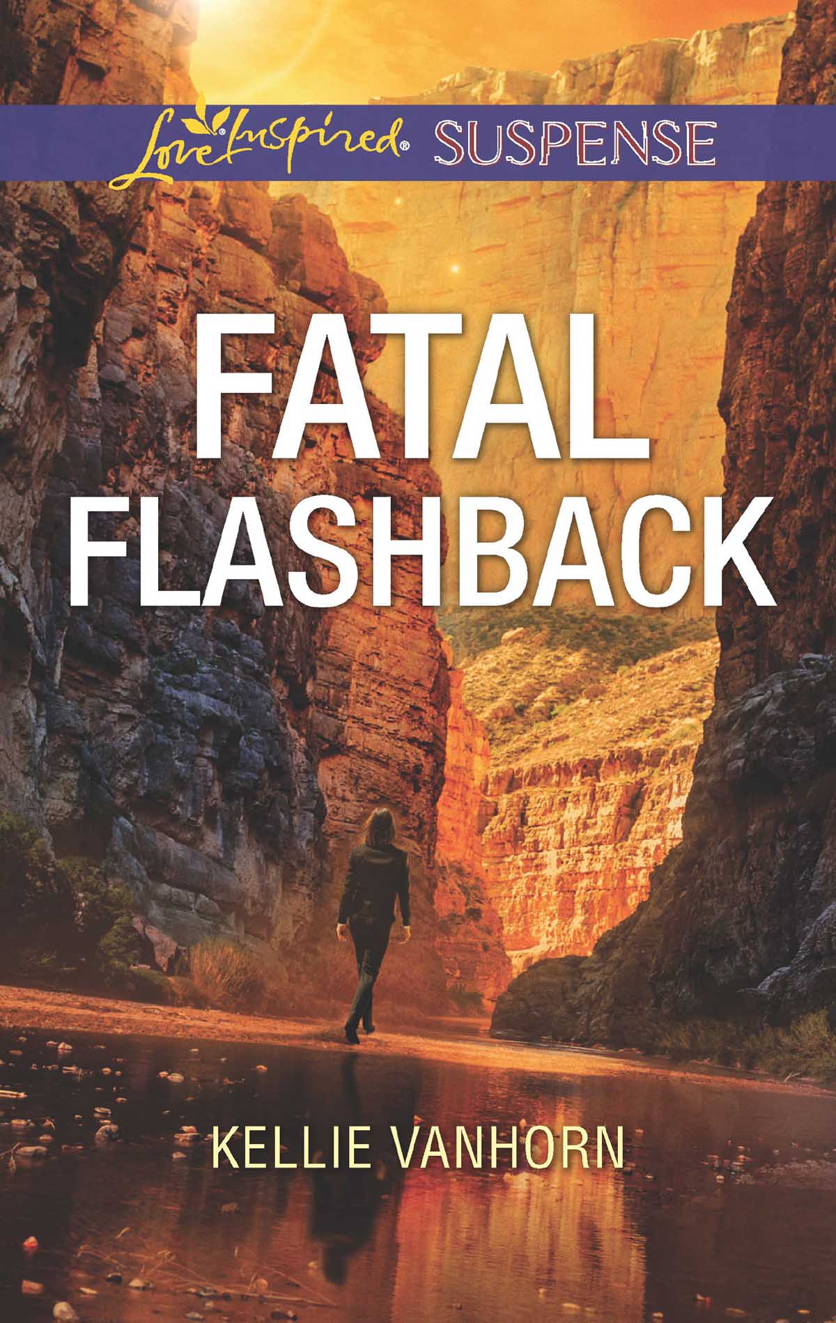 Обложка книги «Fatal Flashback»