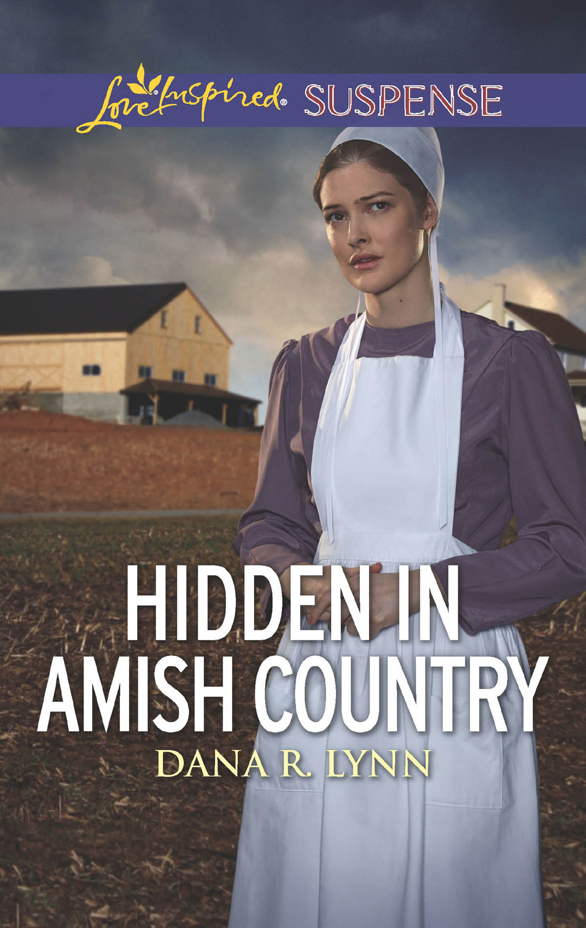 Обложка книги «Hidden In Amish Country»