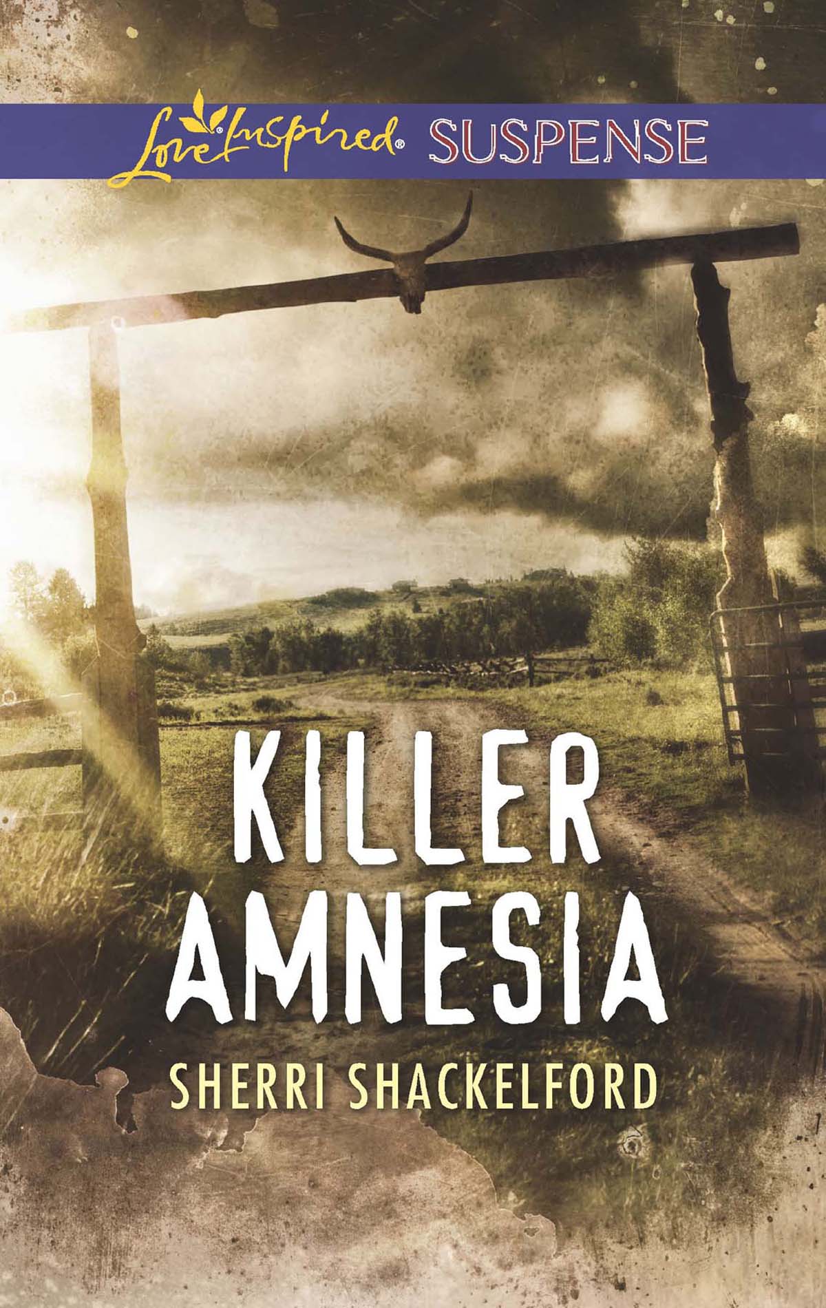 Обложка книги «Killer Amnesia»