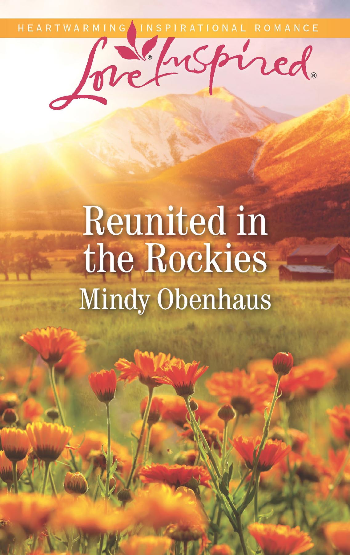 Обложка книги «Reunited In The Rockies»