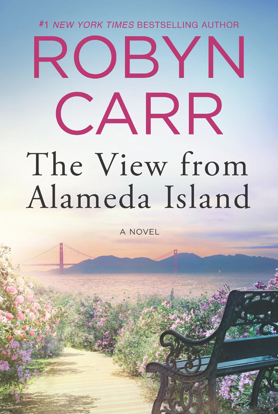 Обложка книги «The View From Alameda Island»