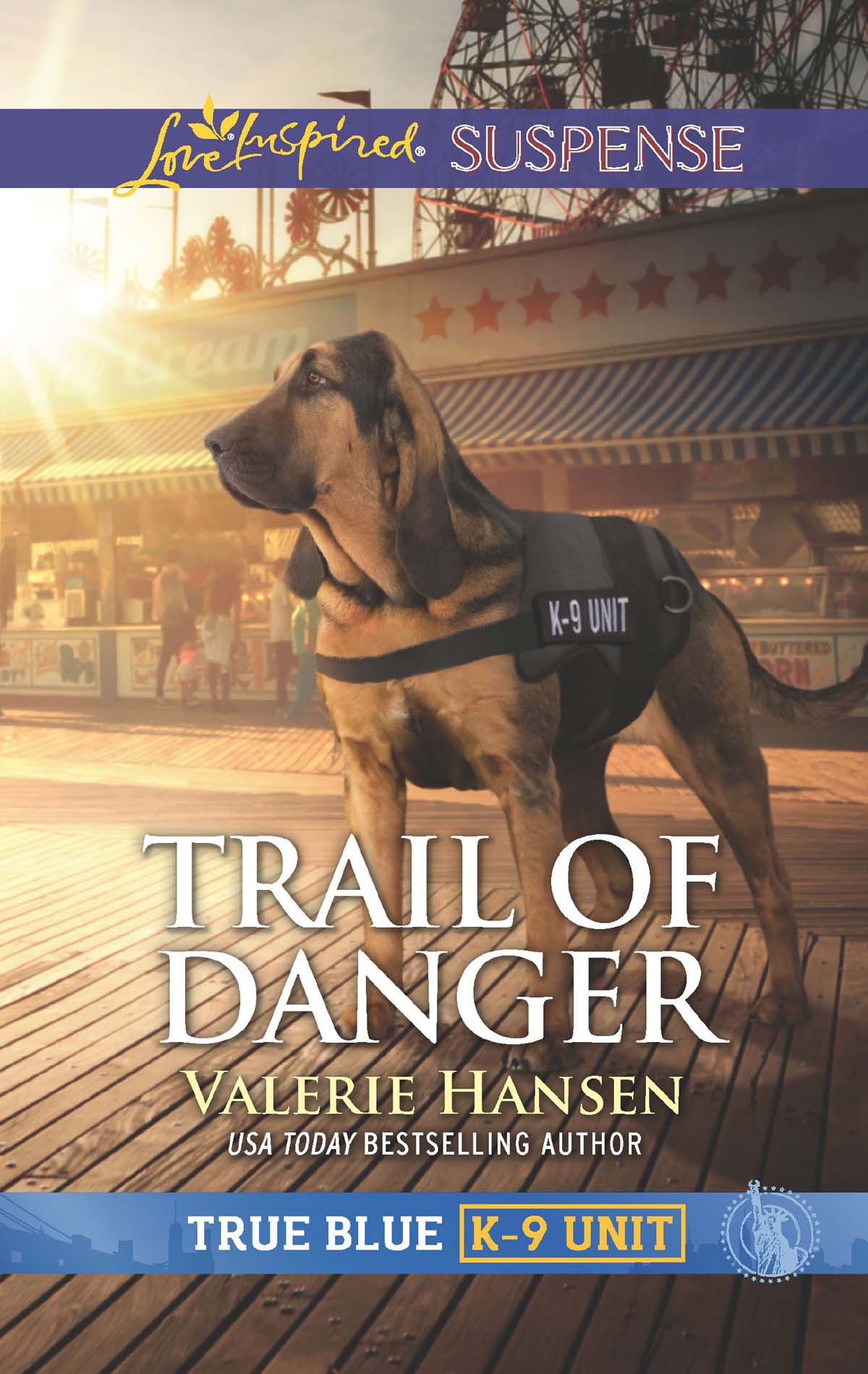 Обложка книги «Trail Of Danger»