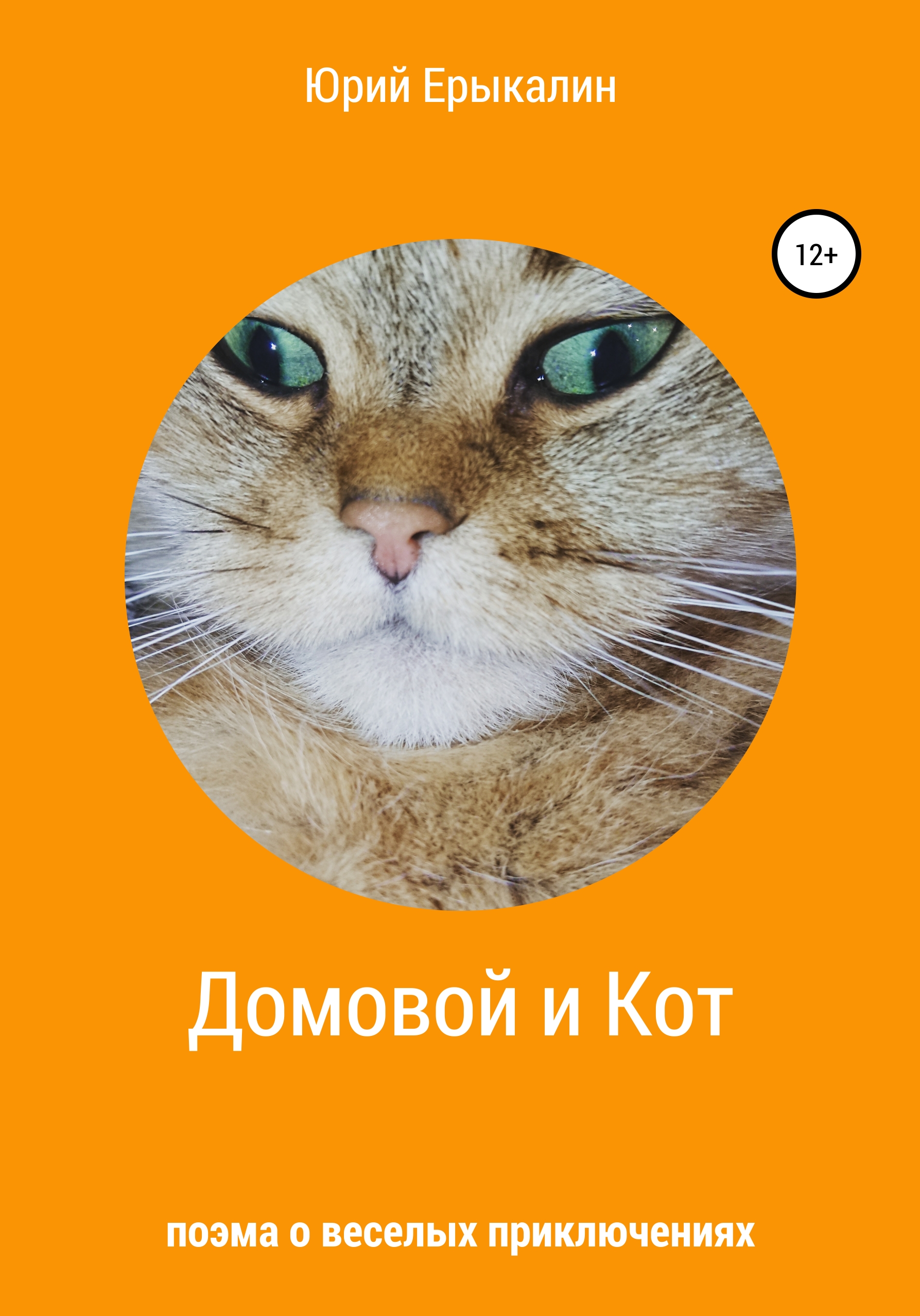 Обложка книги «Домовой и Кот»