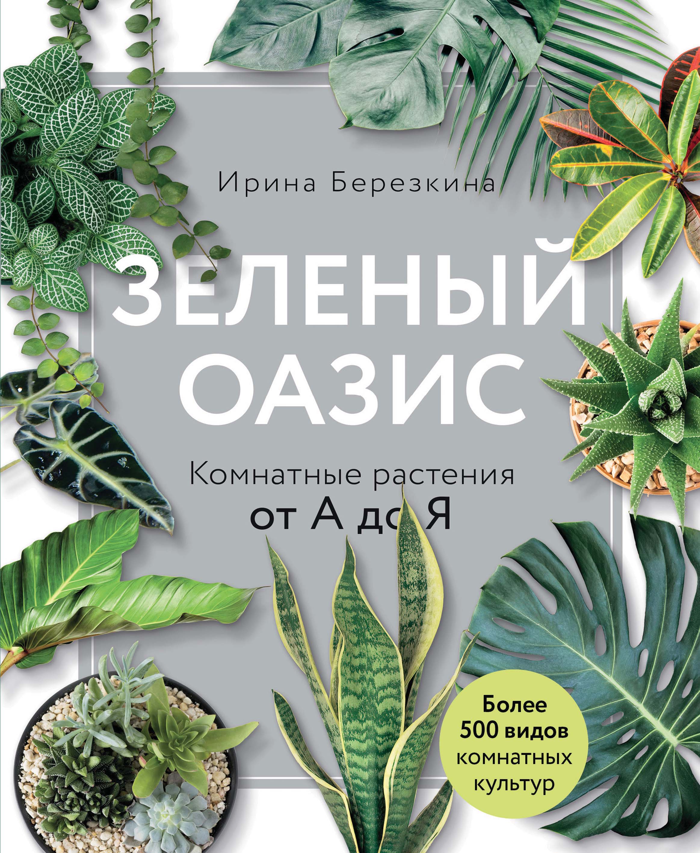Обложка книги «Зеленый оазис. Комнатные растения от А до Я»