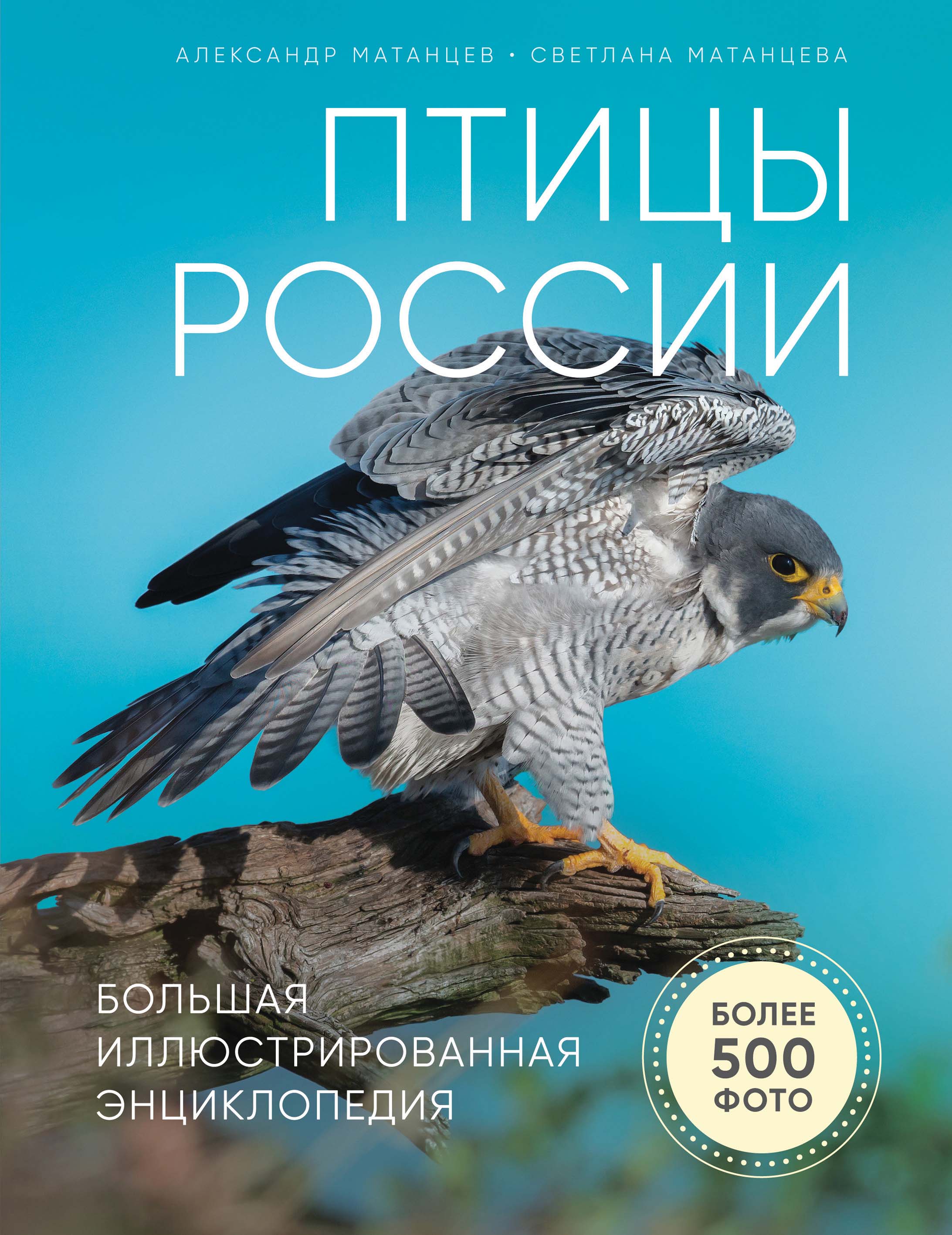 Обложка книги «Птицы России. Большая иллюстрированная энциклопедия»