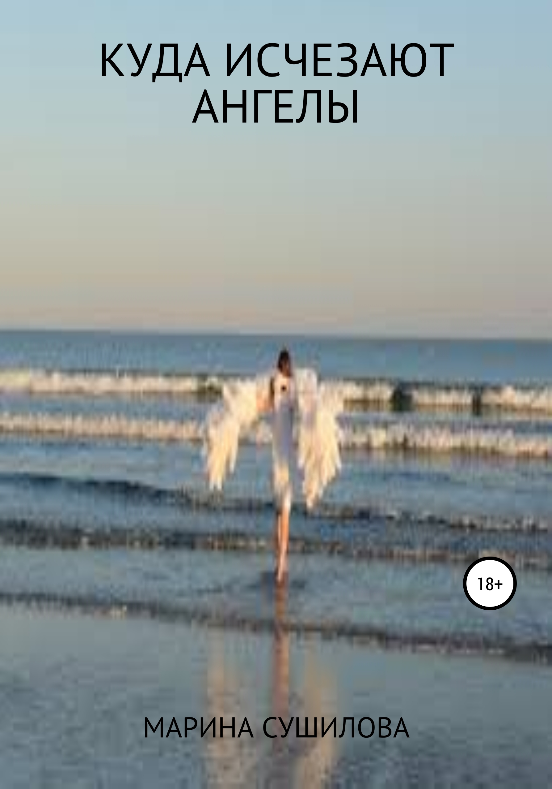 Обложка книги «Куда исчезают ангелы»