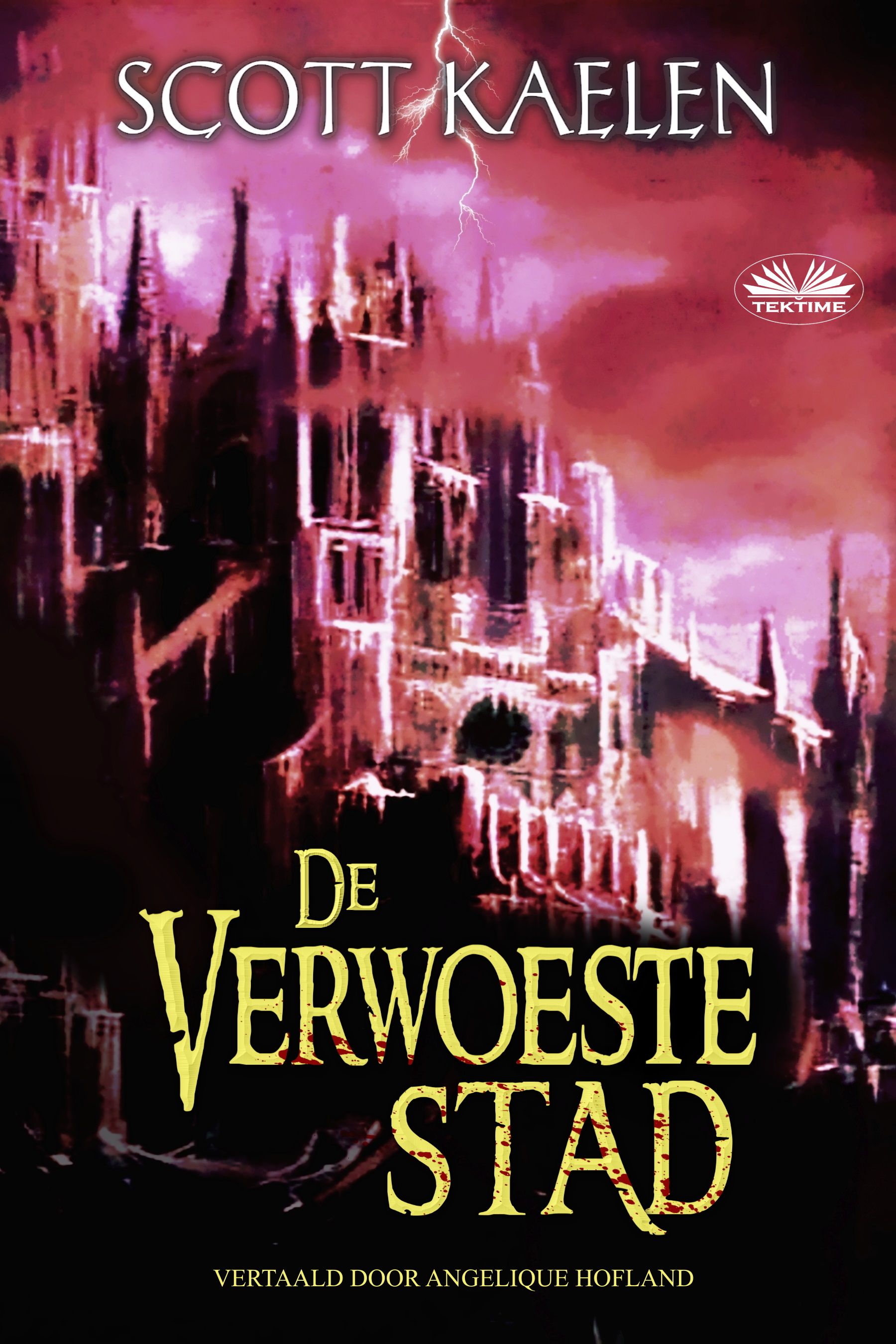 Обложка книги «De Verwoeste Stad»